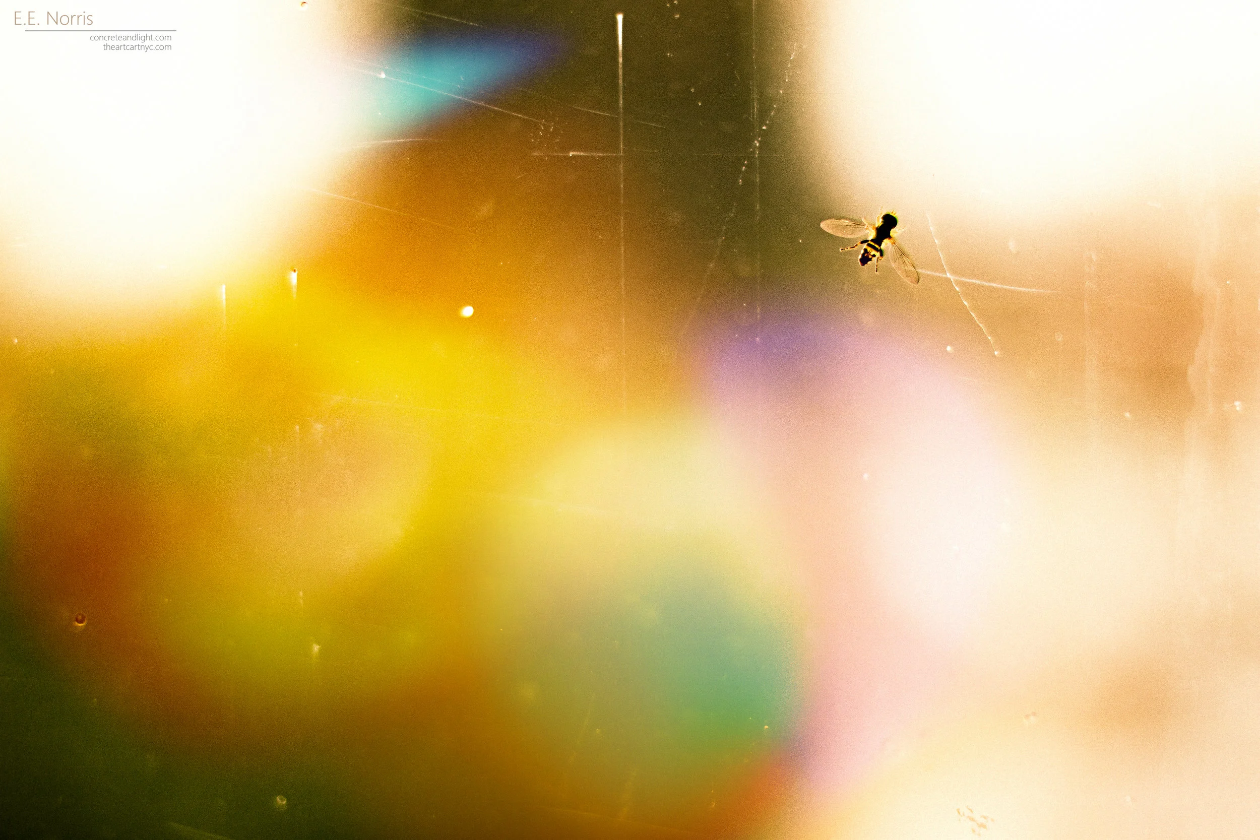 Buzz