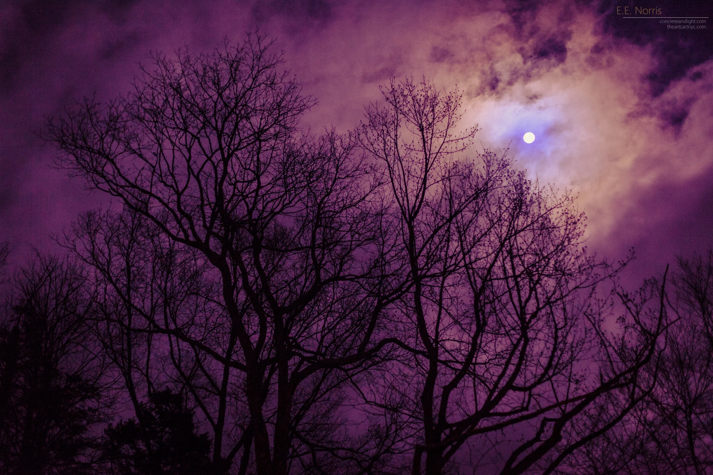 A Coyote Moon