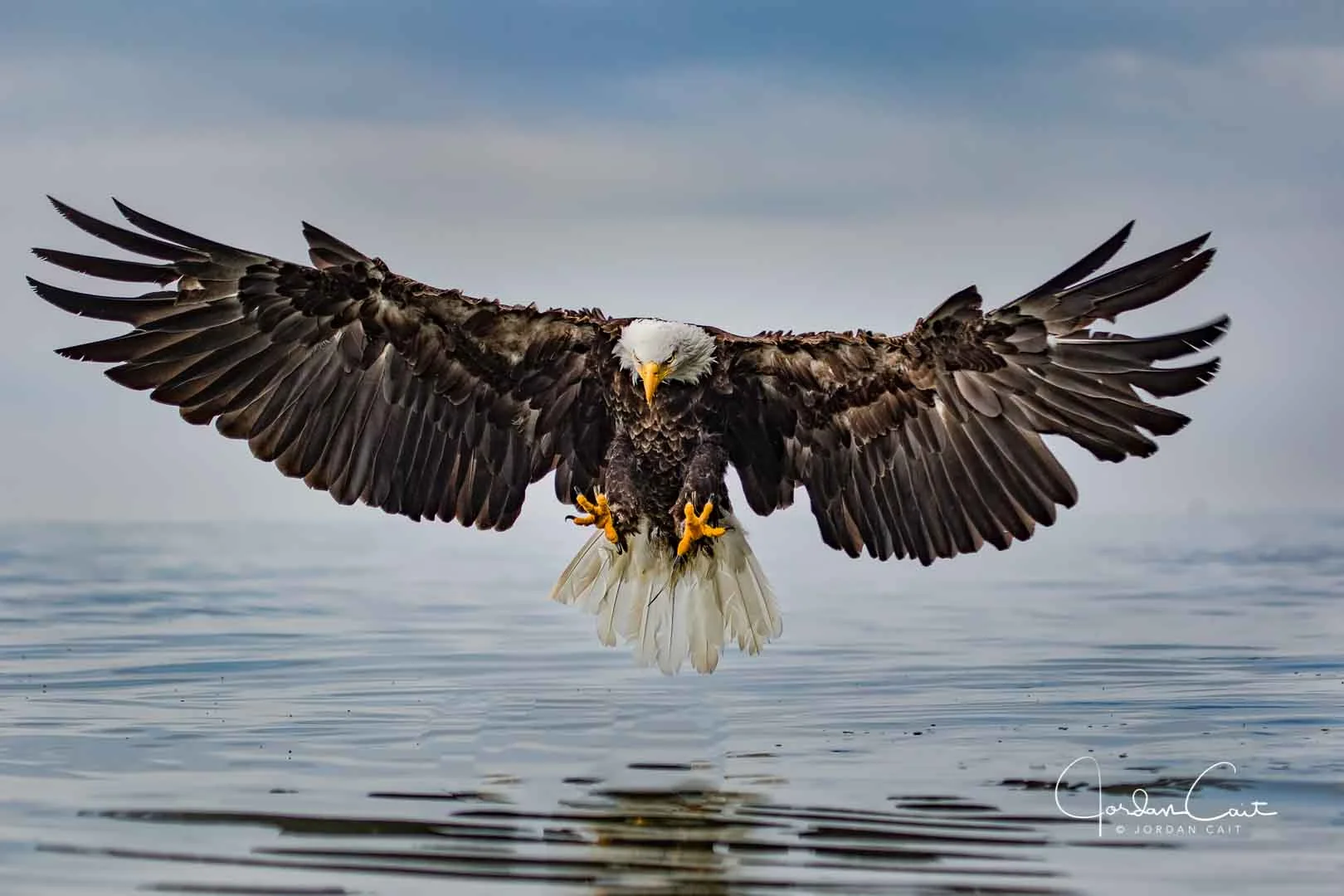 Eagle coming in for a landing
