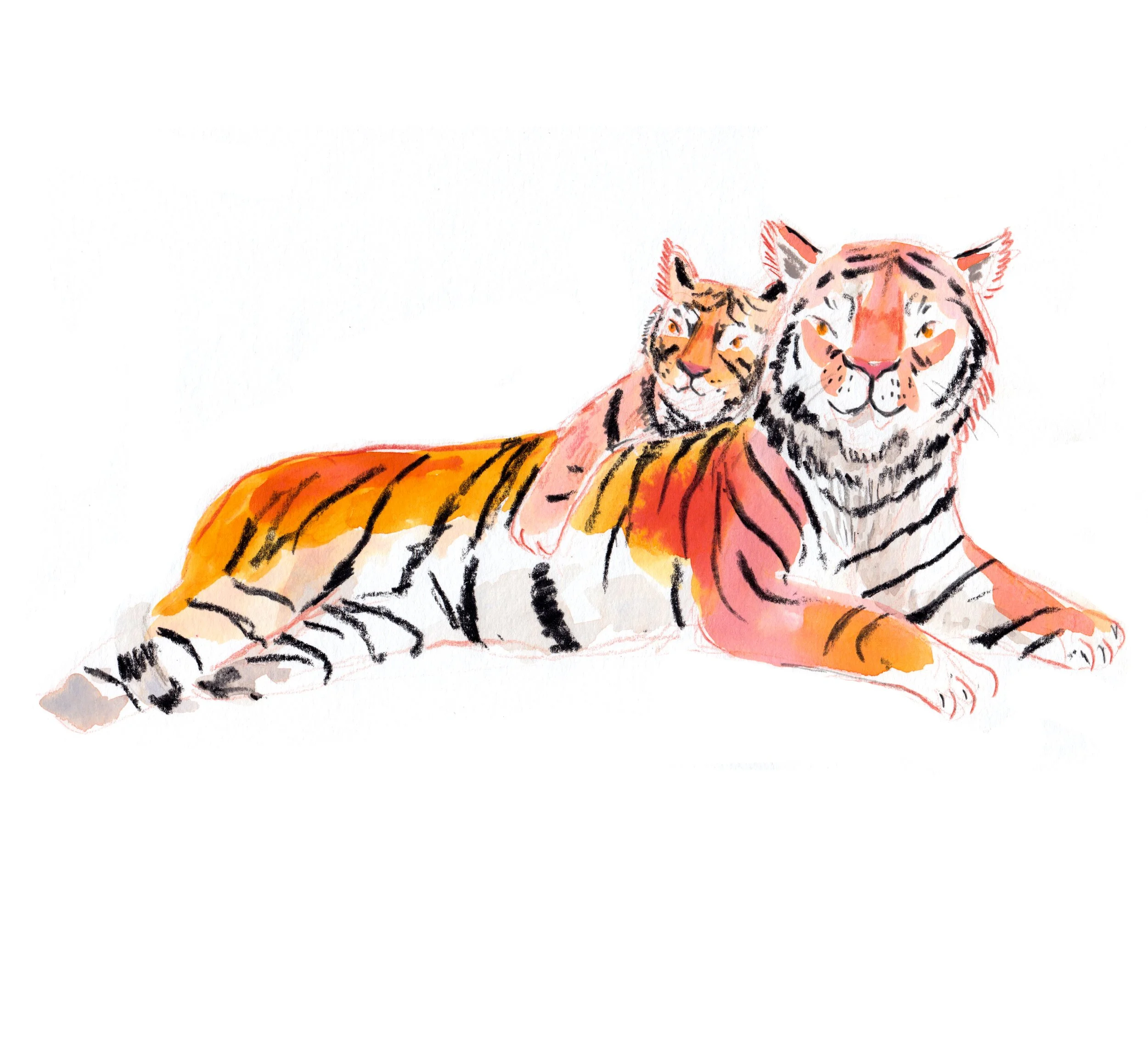 tigers.jpg