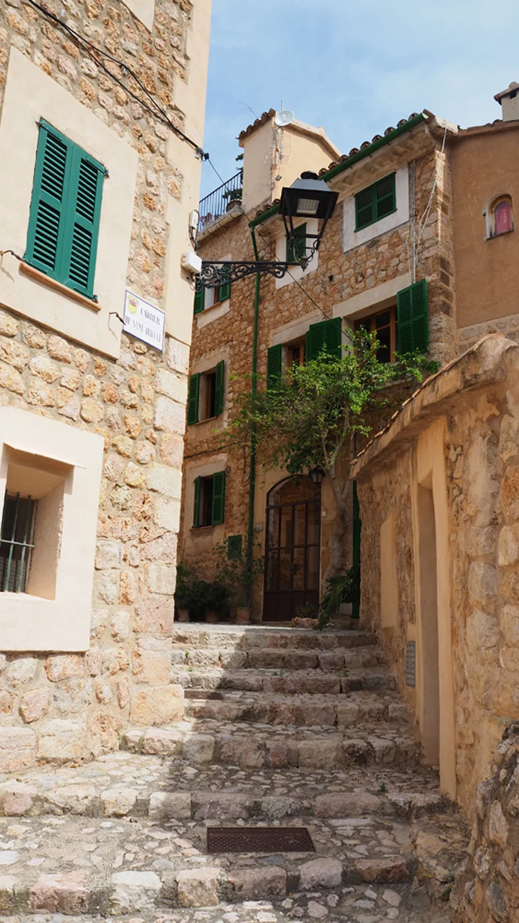 soller crop 7.jpg