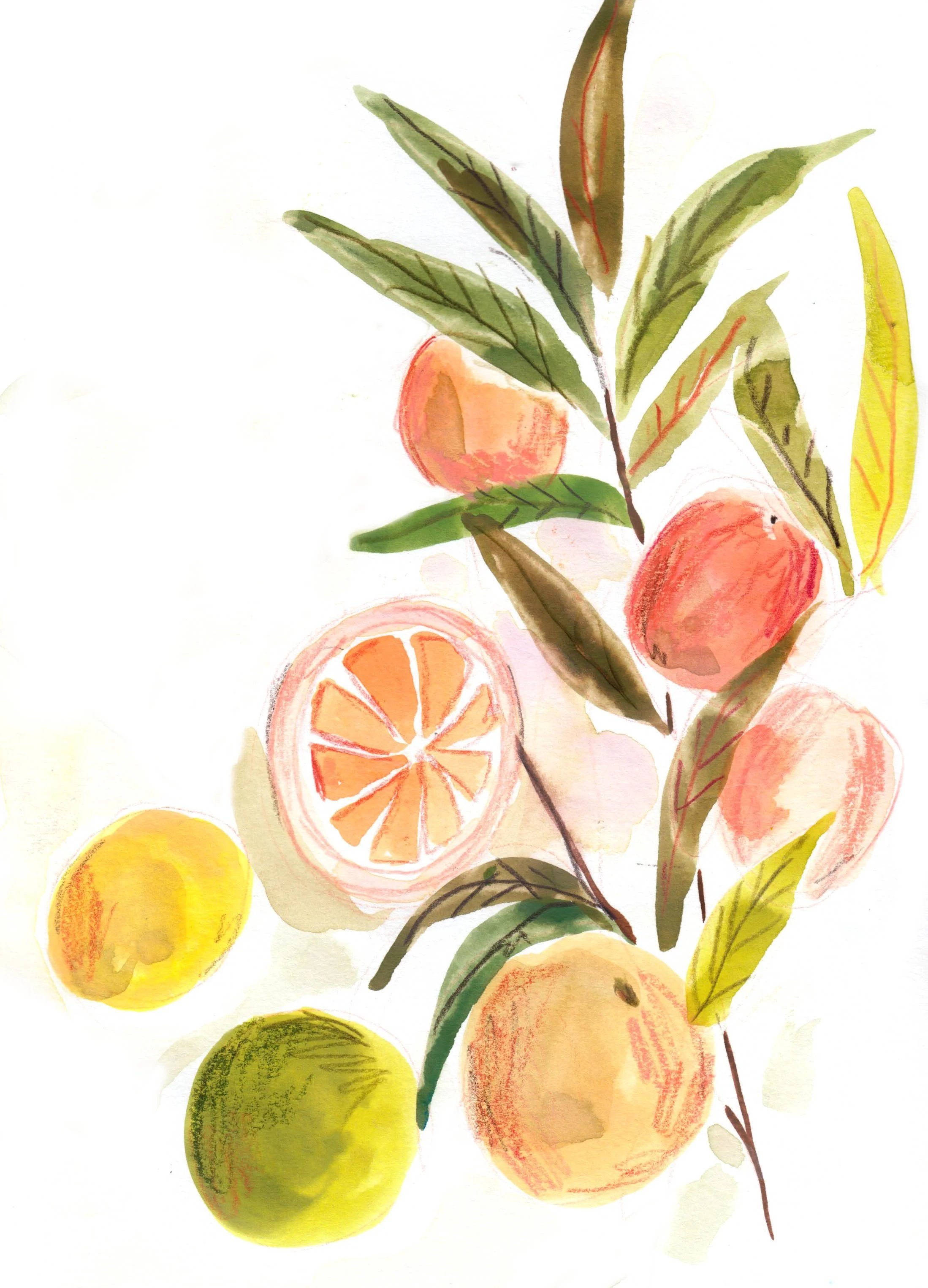 citrus emma block.jpg