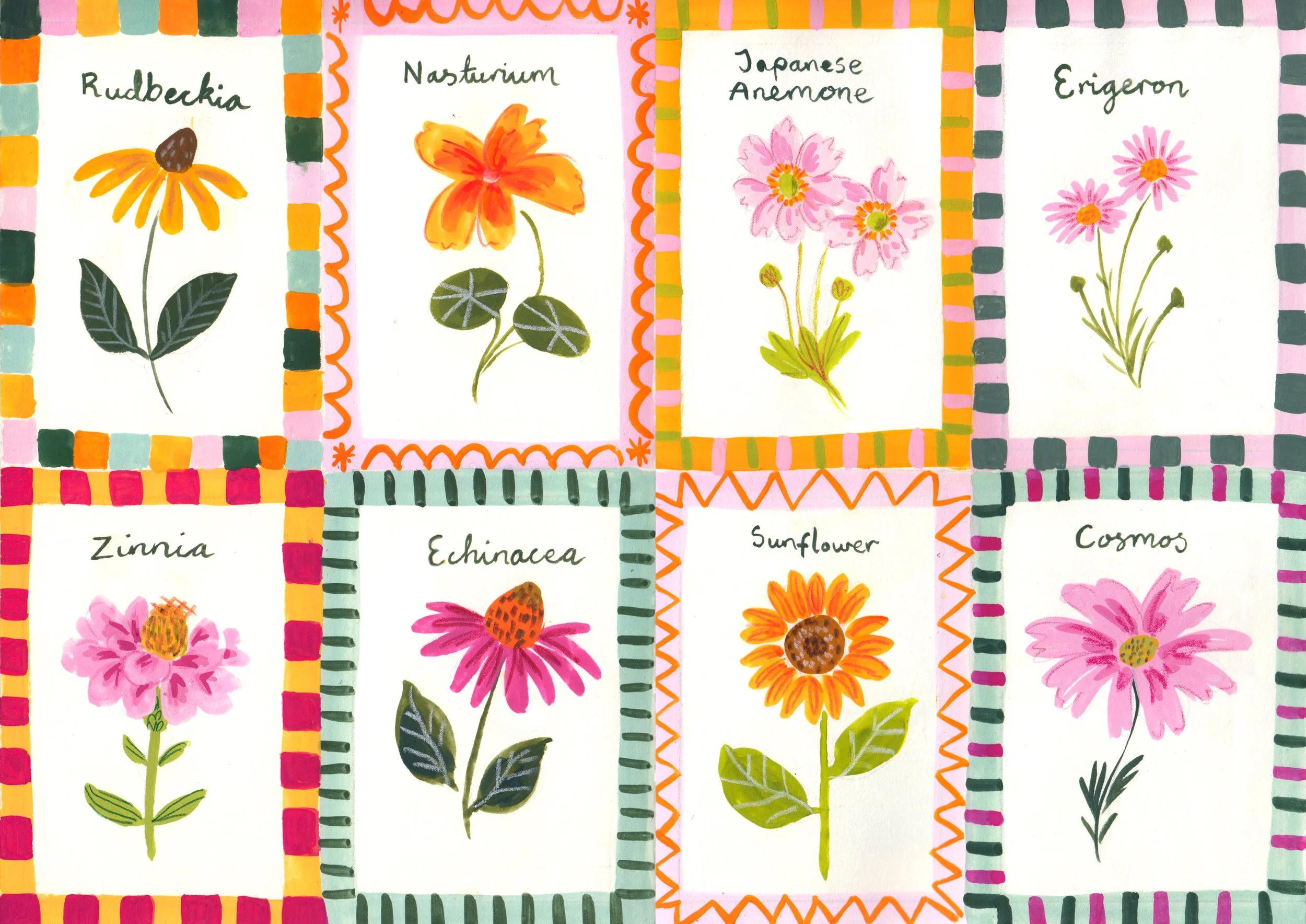 late summer flowers.jpg