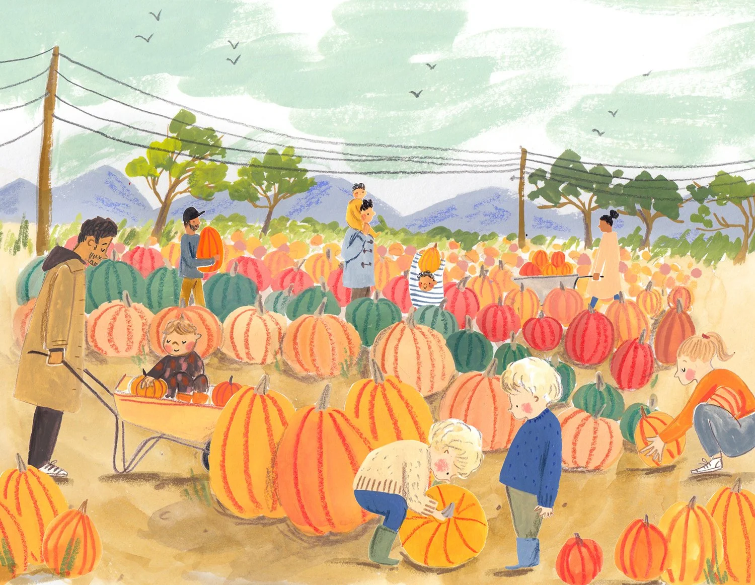 pumpkin patch lo res.jpg