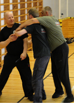 Seminar finland may 2010.png