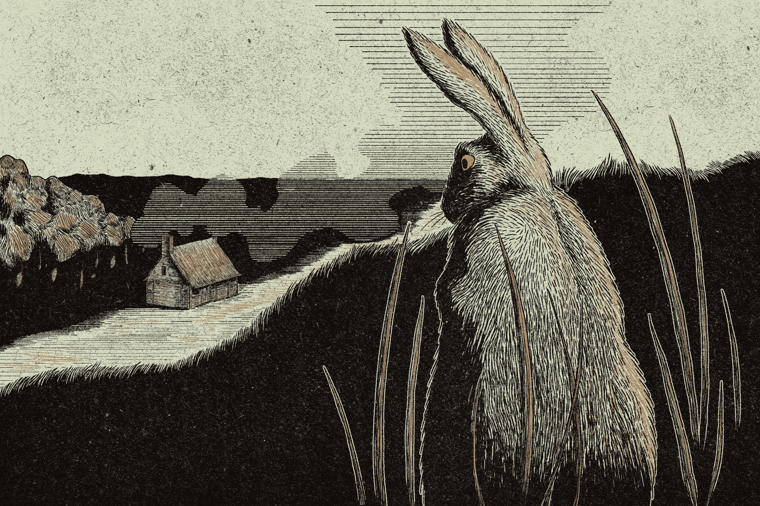  Illustration spreads from in-progress project  The Moon Being Full . 