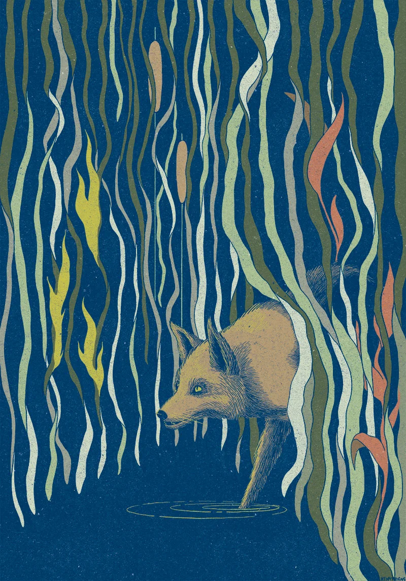 03_Fox_Bears_Witness.jpg