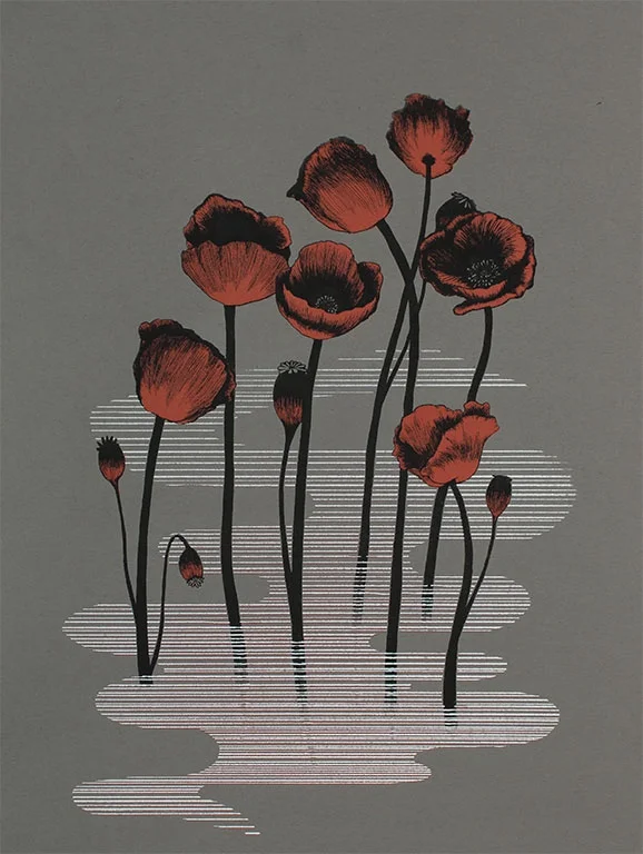 Papaver_Somniferum.jpg