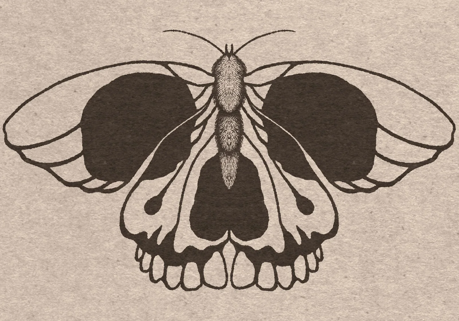 Cunning Folk Magazine: The Vampire Issue, 2024.