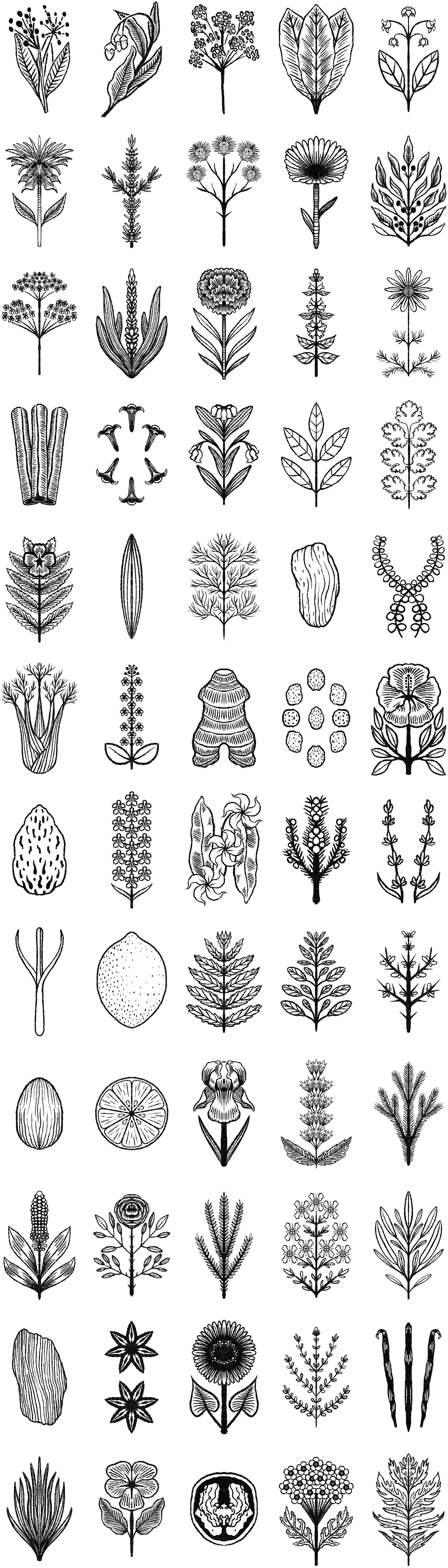 The Book of Witchcraft, 2025.
DK Life.