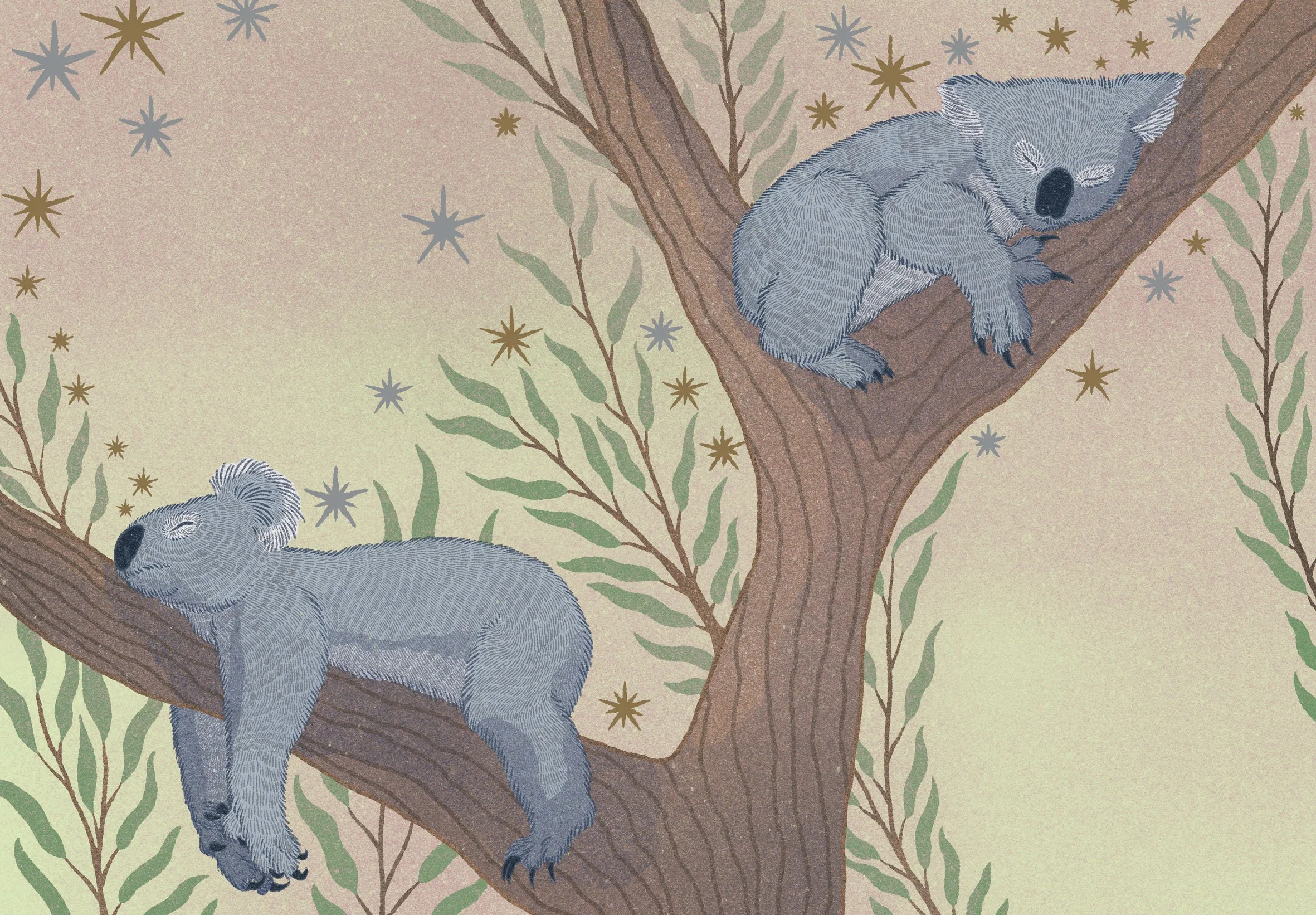 Koalas - The Hidden Wisdom of Animals, 2025.
Wide Eyed Editions.