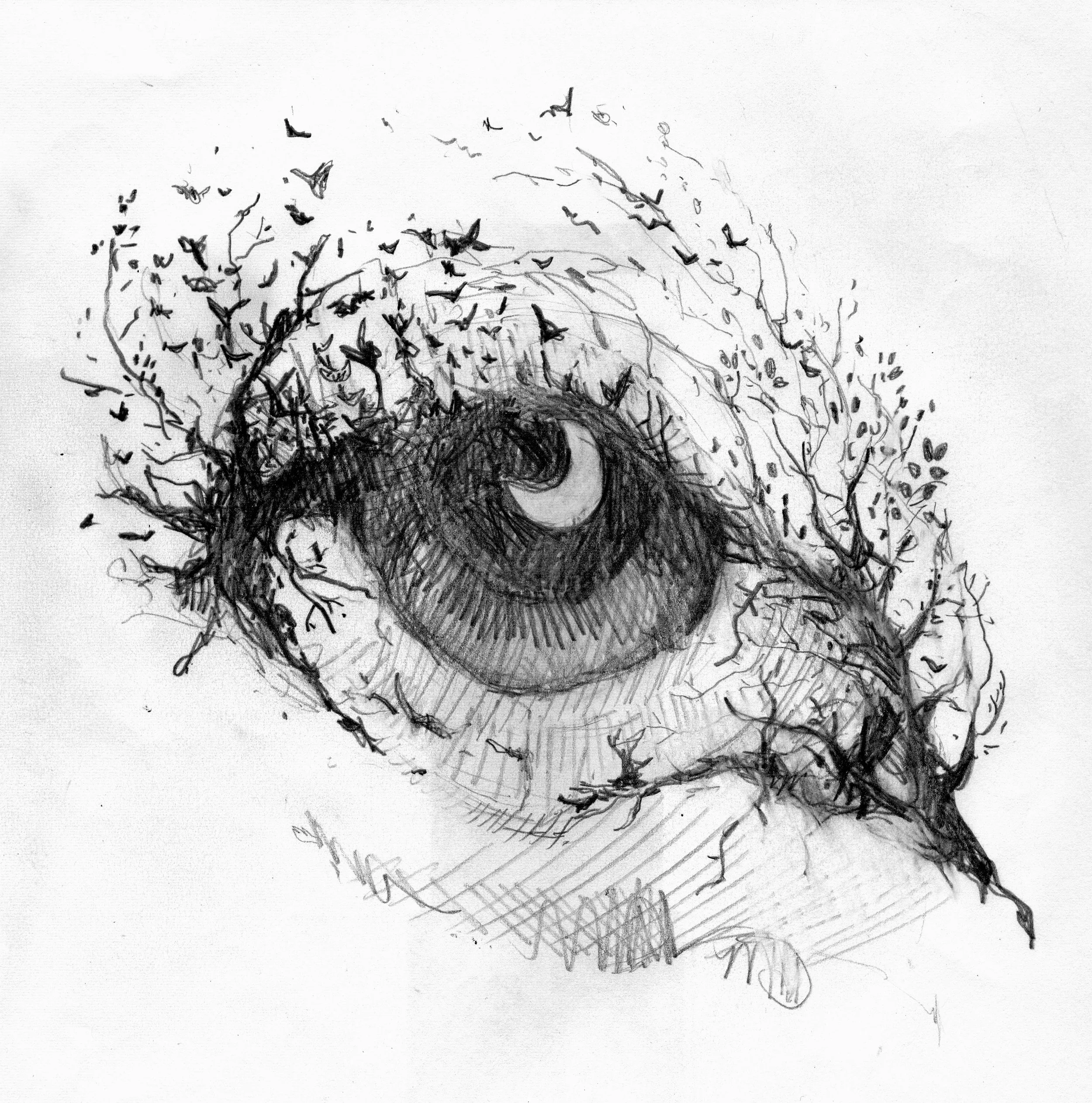 Surreal Eye.jpg