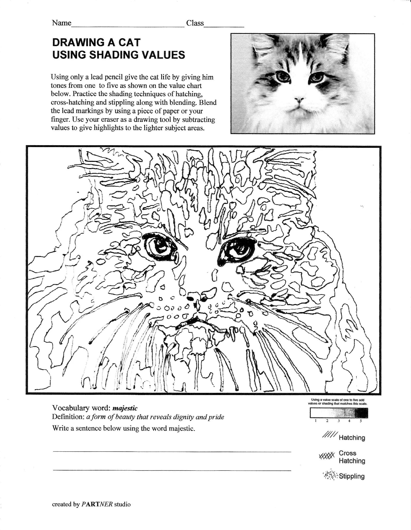 Shading and Coloring the head of a cat