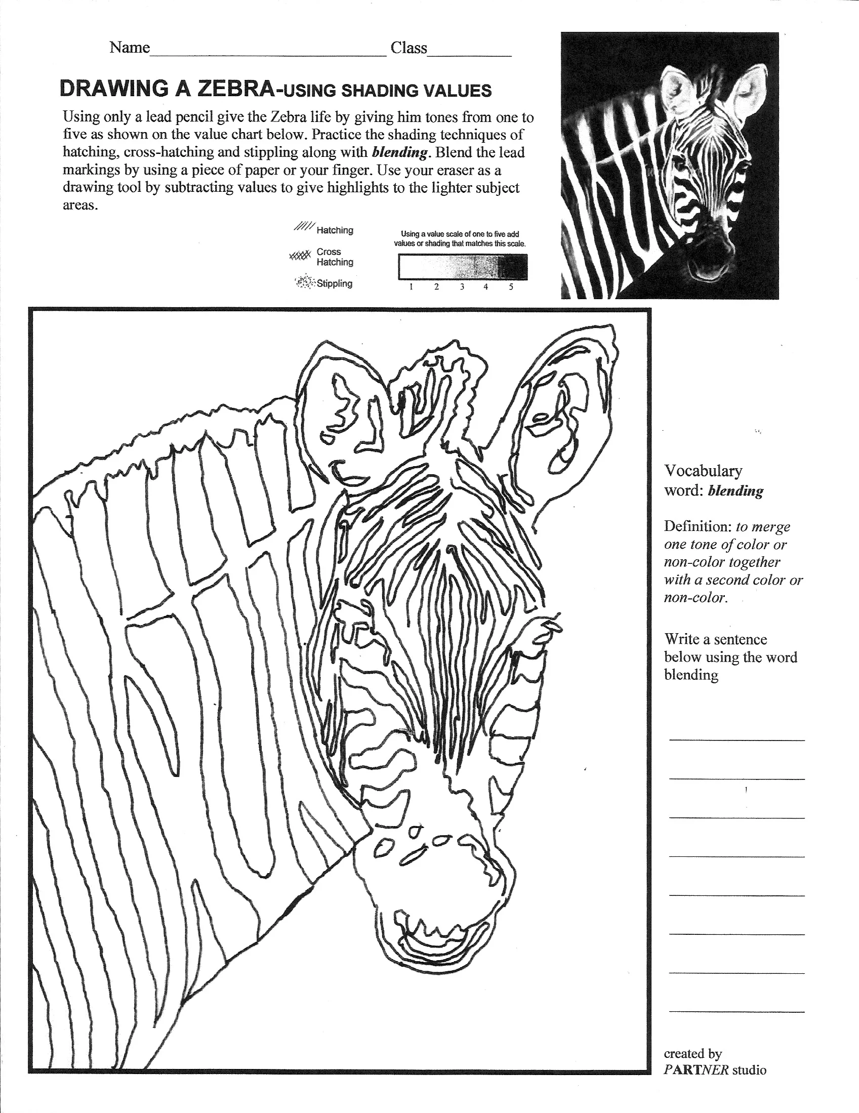 Shading and Coloring the head of a zebra