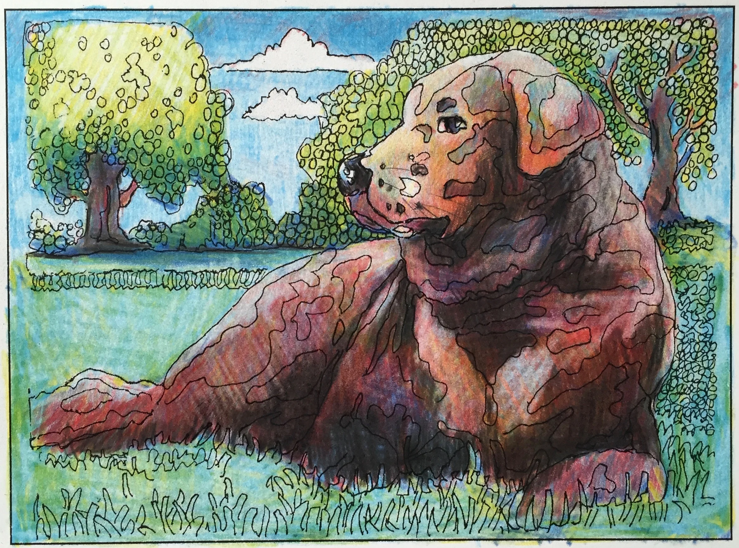 Finished Dog Sample.jpg