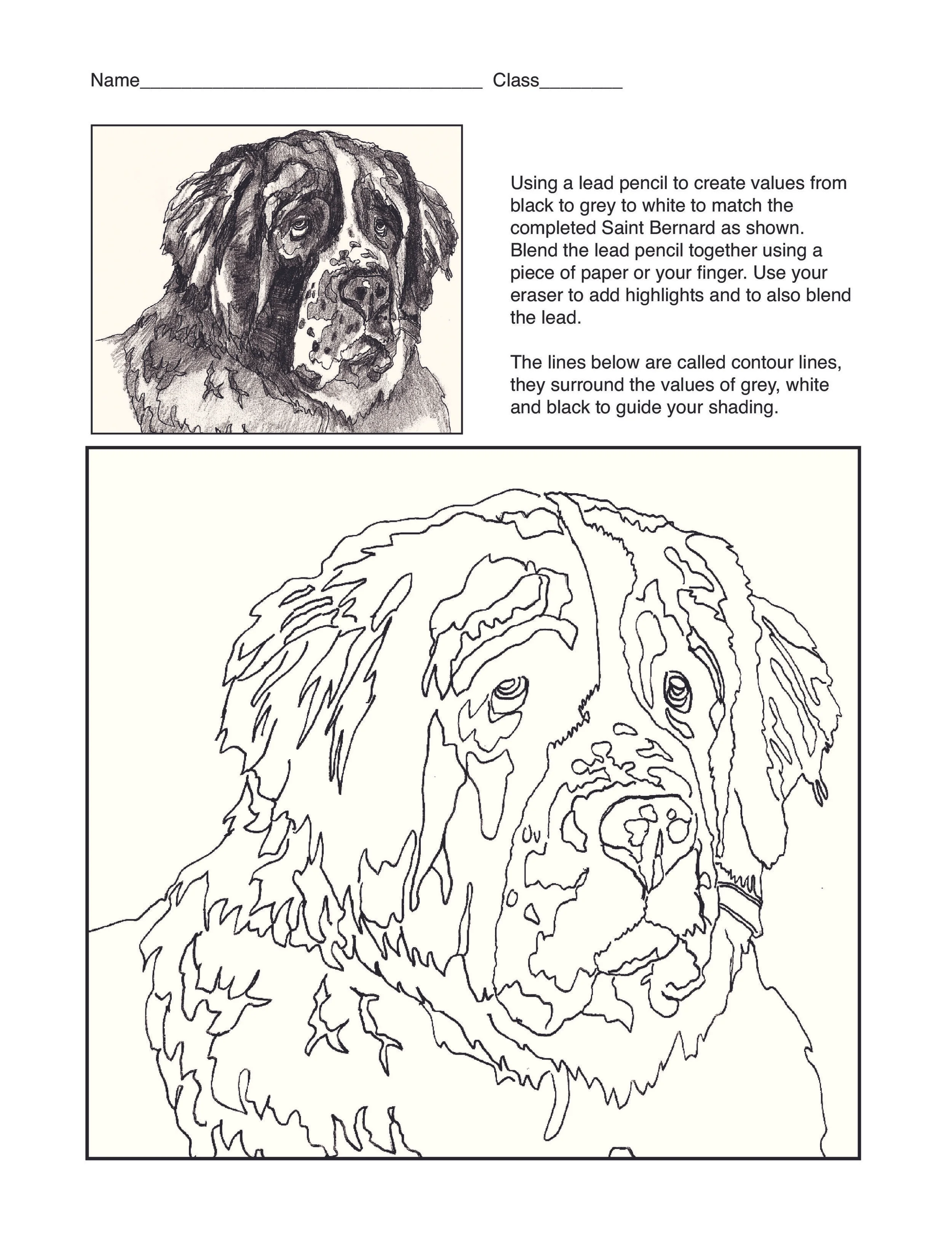 Saint Bernard Lesson.jpg