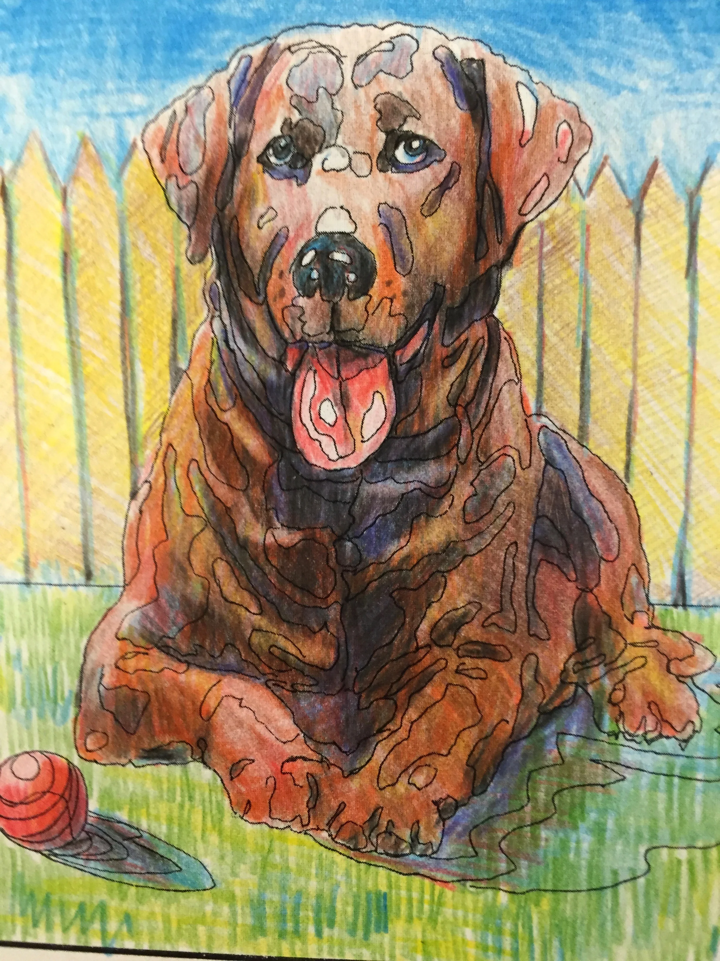Drawing a Dog Sample.jpg