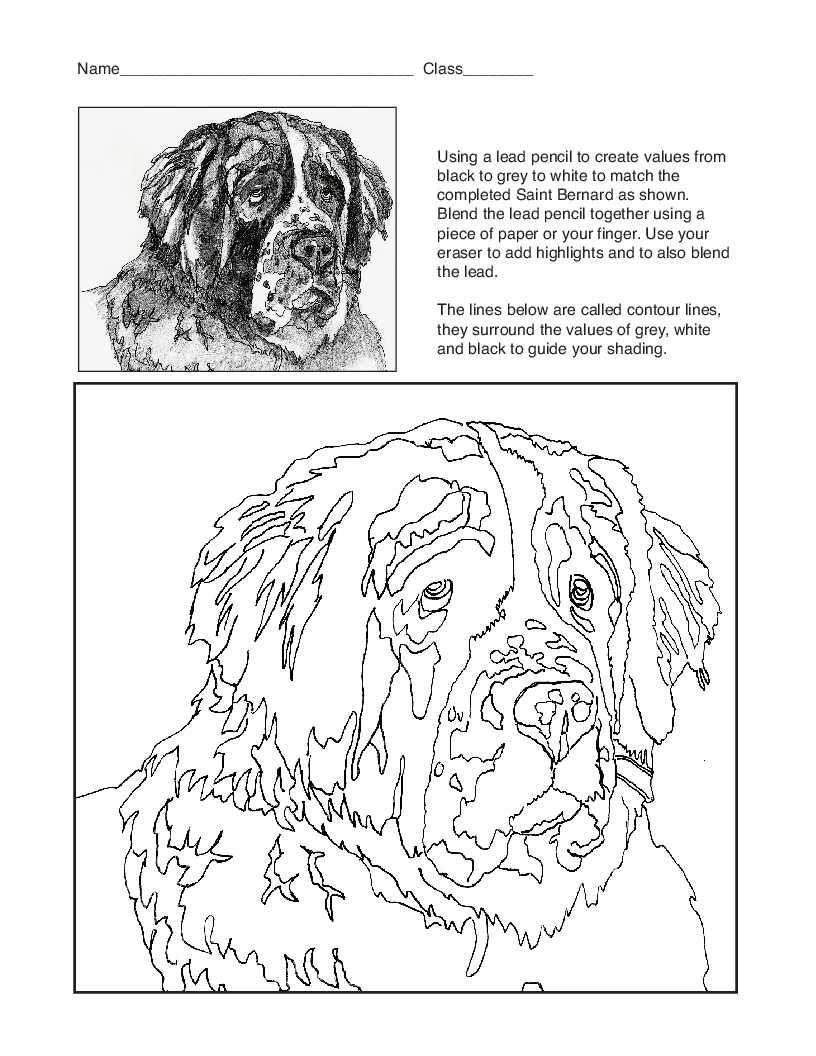 Saint Bernard Drawing Assignmen.jpg