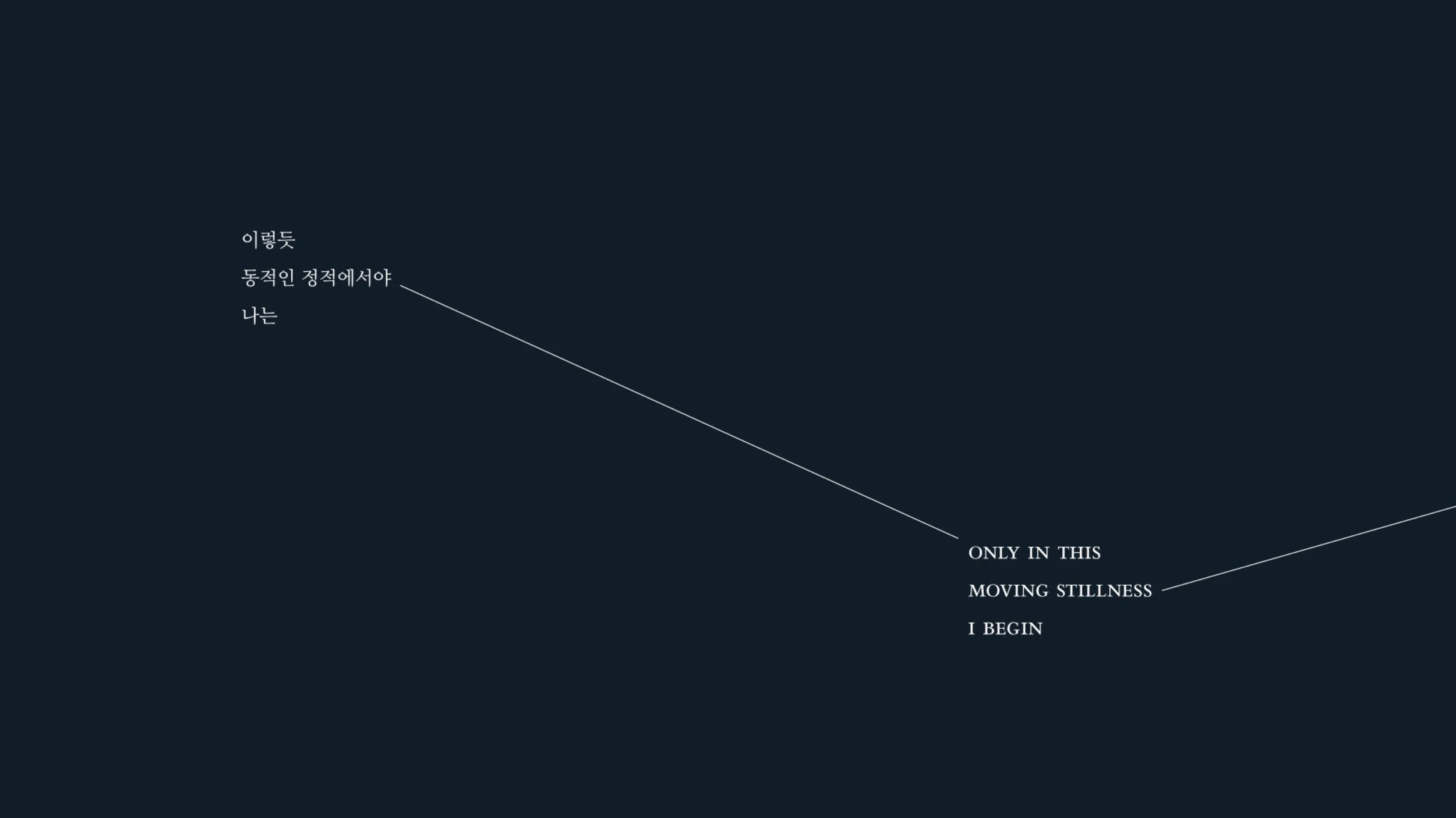 SonWonjinSotoGeometryScreengrab_1.jpg