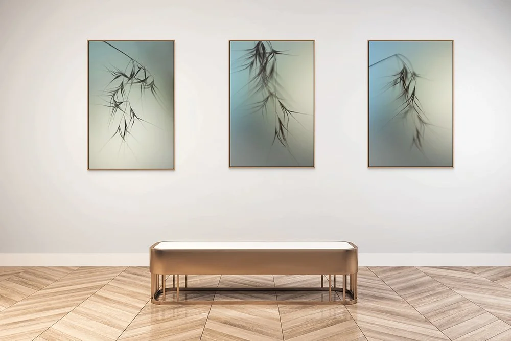cyprus grass 3-2.jpg