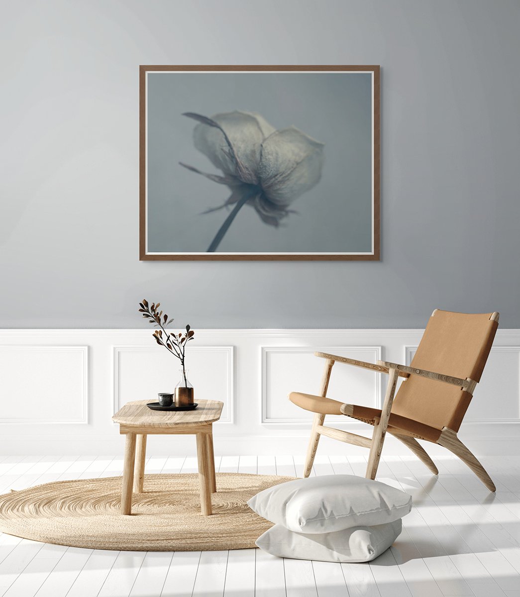 rose with cahir-2.jpg