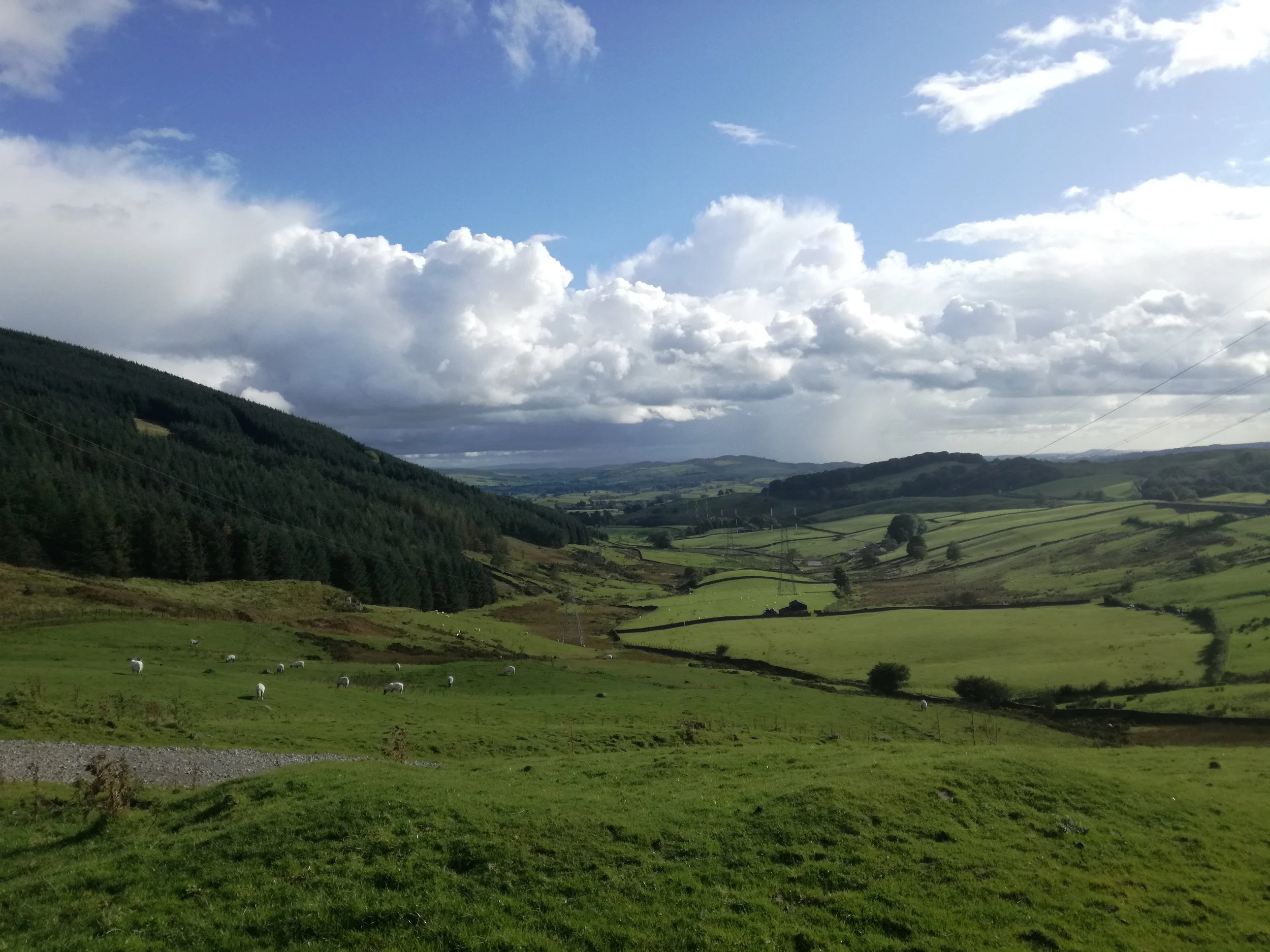 Danielle Welton, Casquette Editor: "The most scenic wee I've ever had."