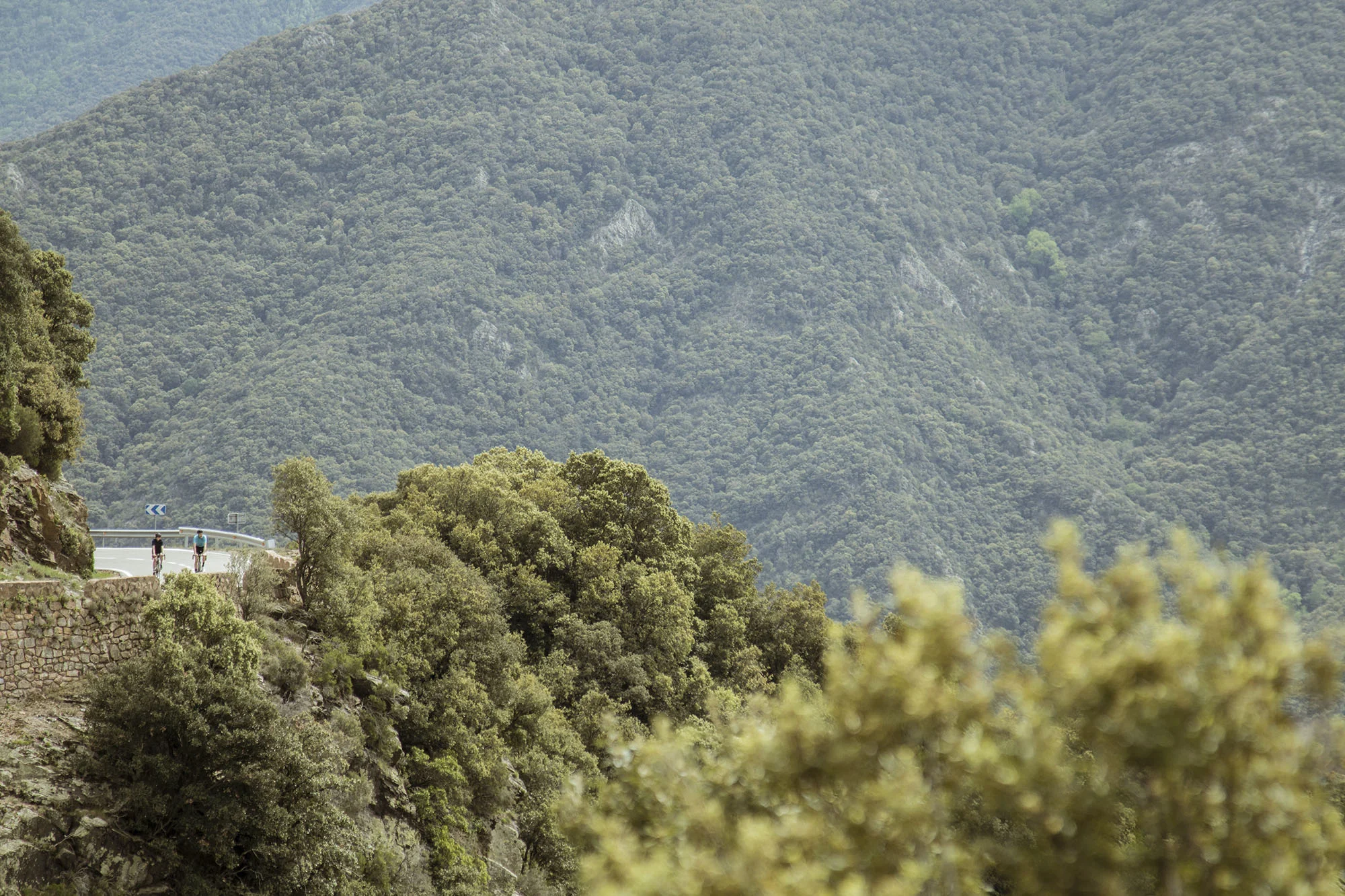 OSONA CYCLING TOUR_1_26 small.jpg