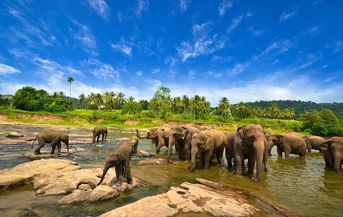 sri-lanka_716041.jpg