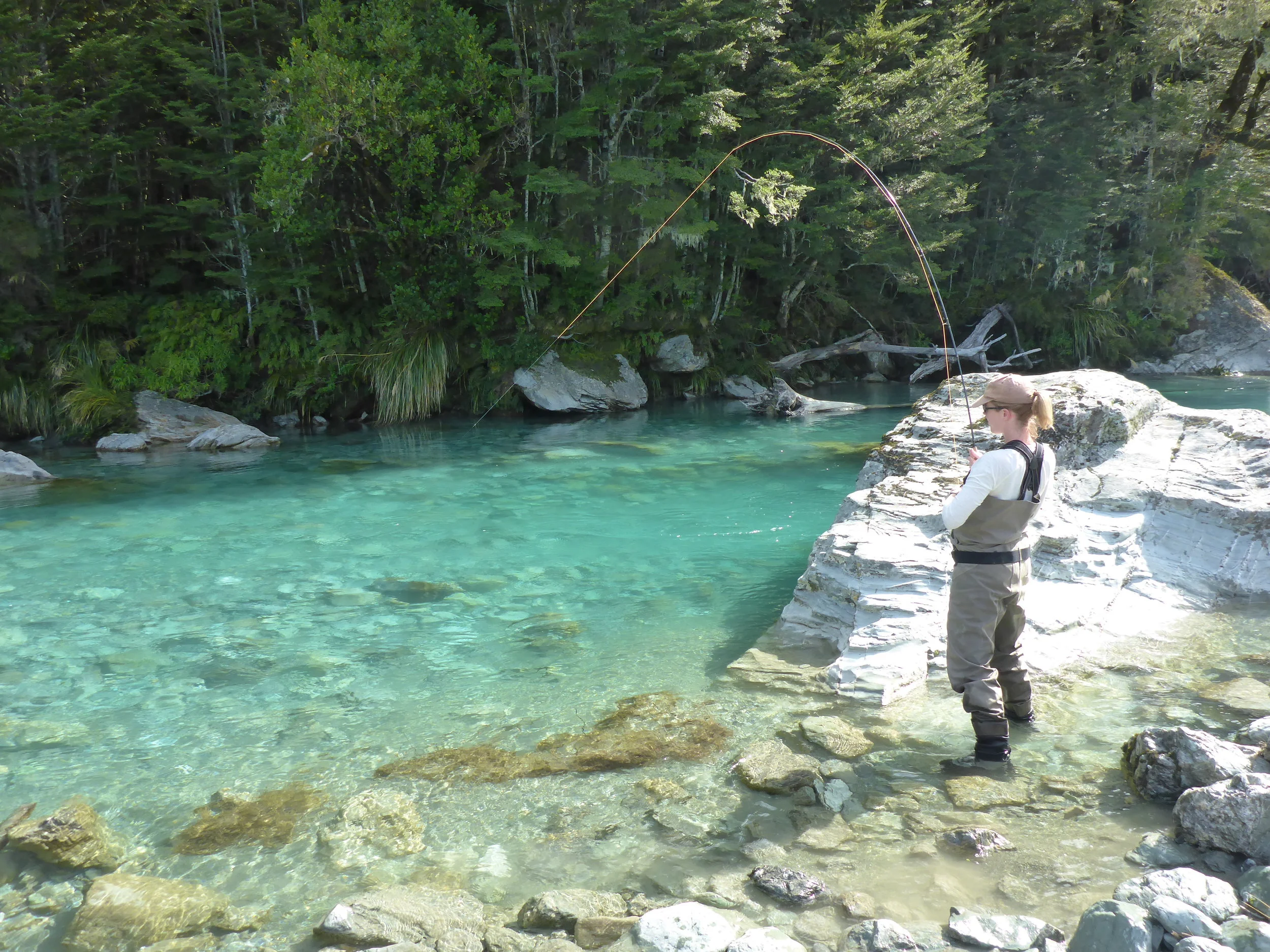 Kate into a solid rainbow trout..