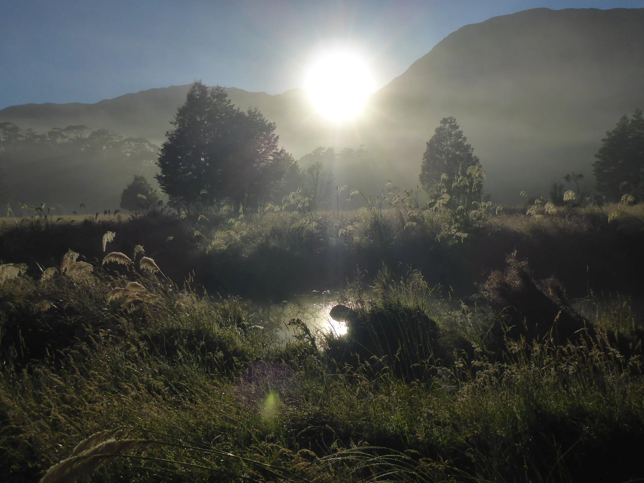 South-Westland dawn..
