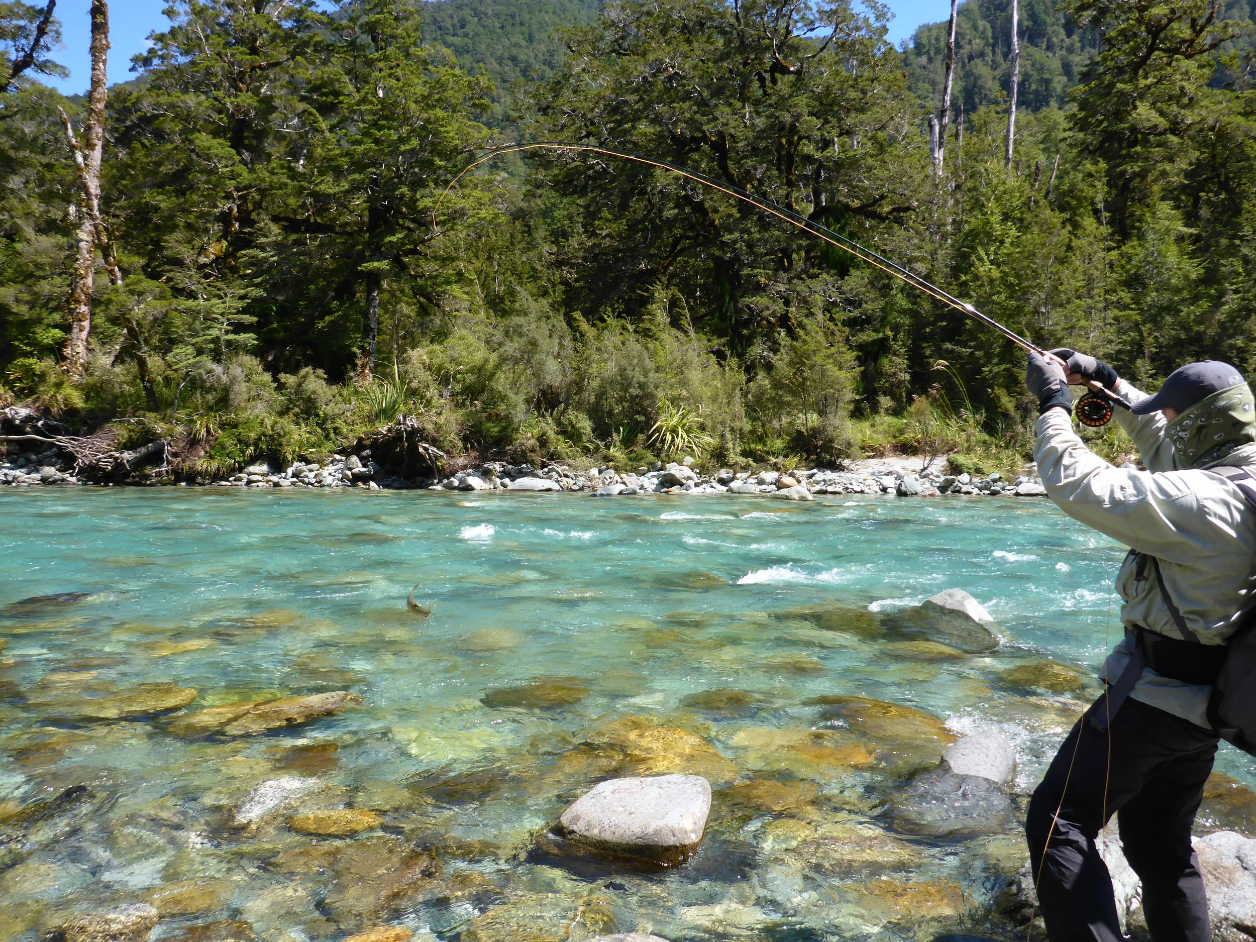 Into an acrobatic brown trout..