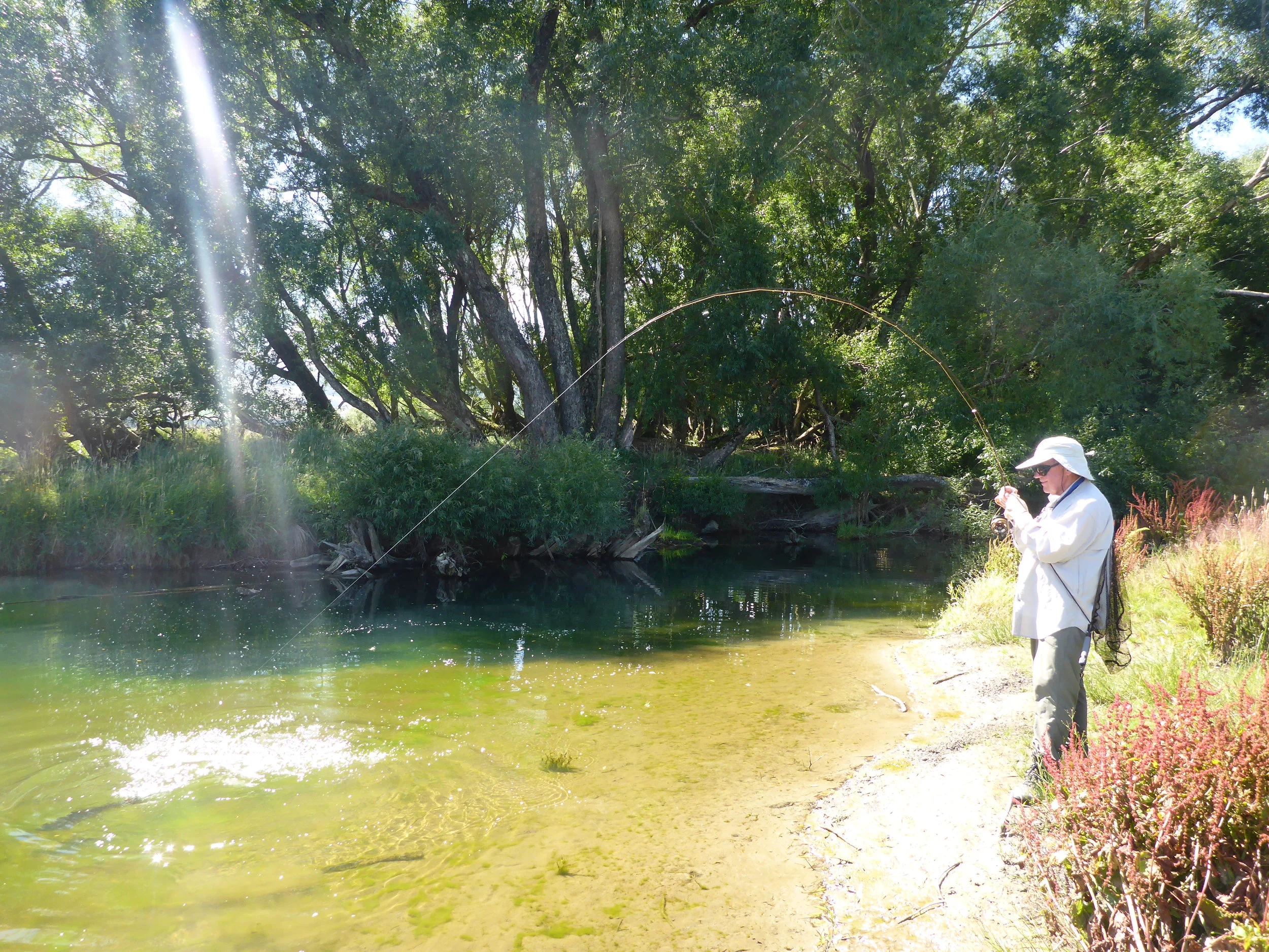 Fishing a backwater..