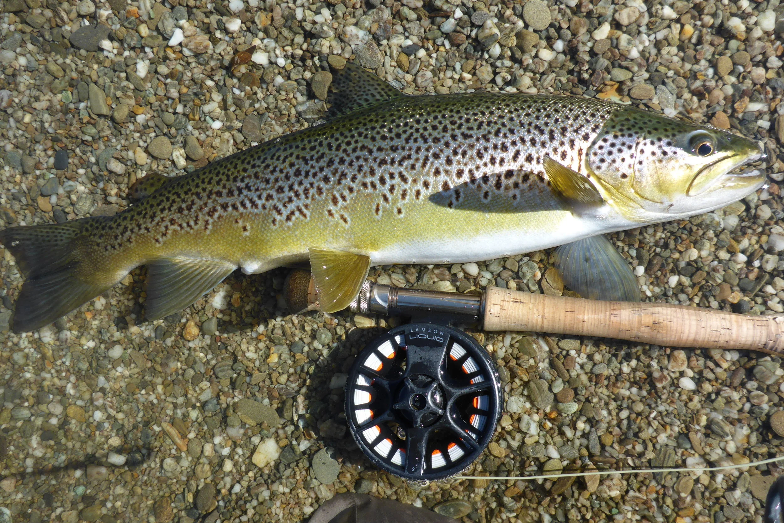 P1100354.JPG