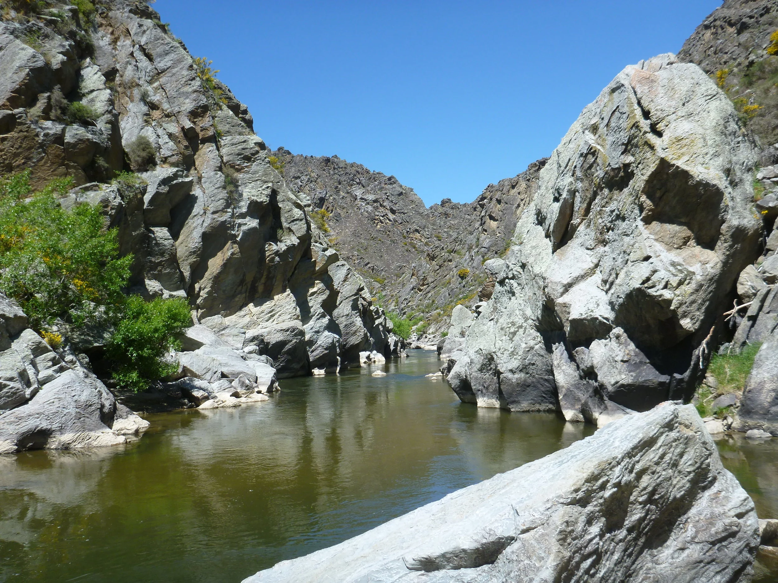 Hardcore gorge fly fishing..