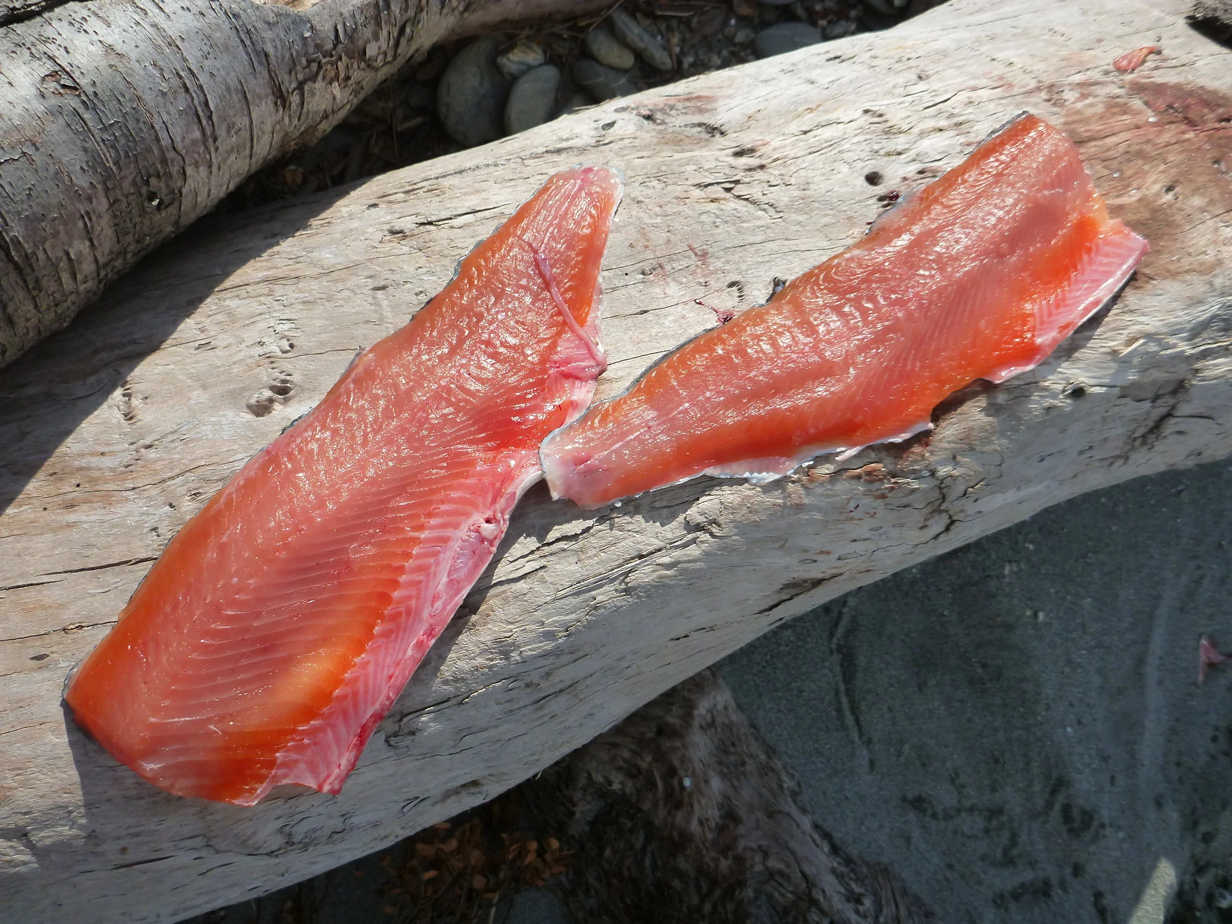 Trout fillets ready for the pan!