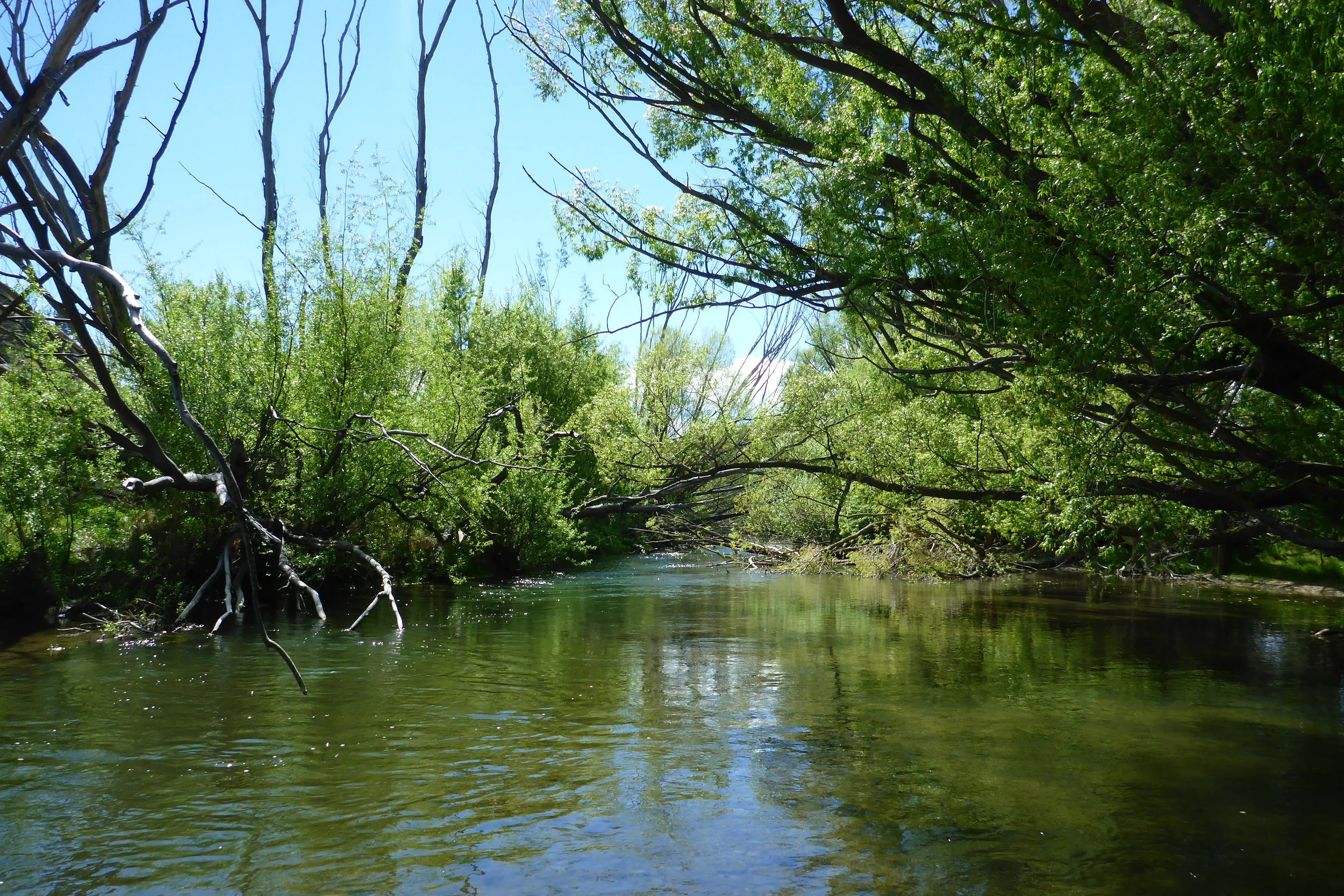 My local river..