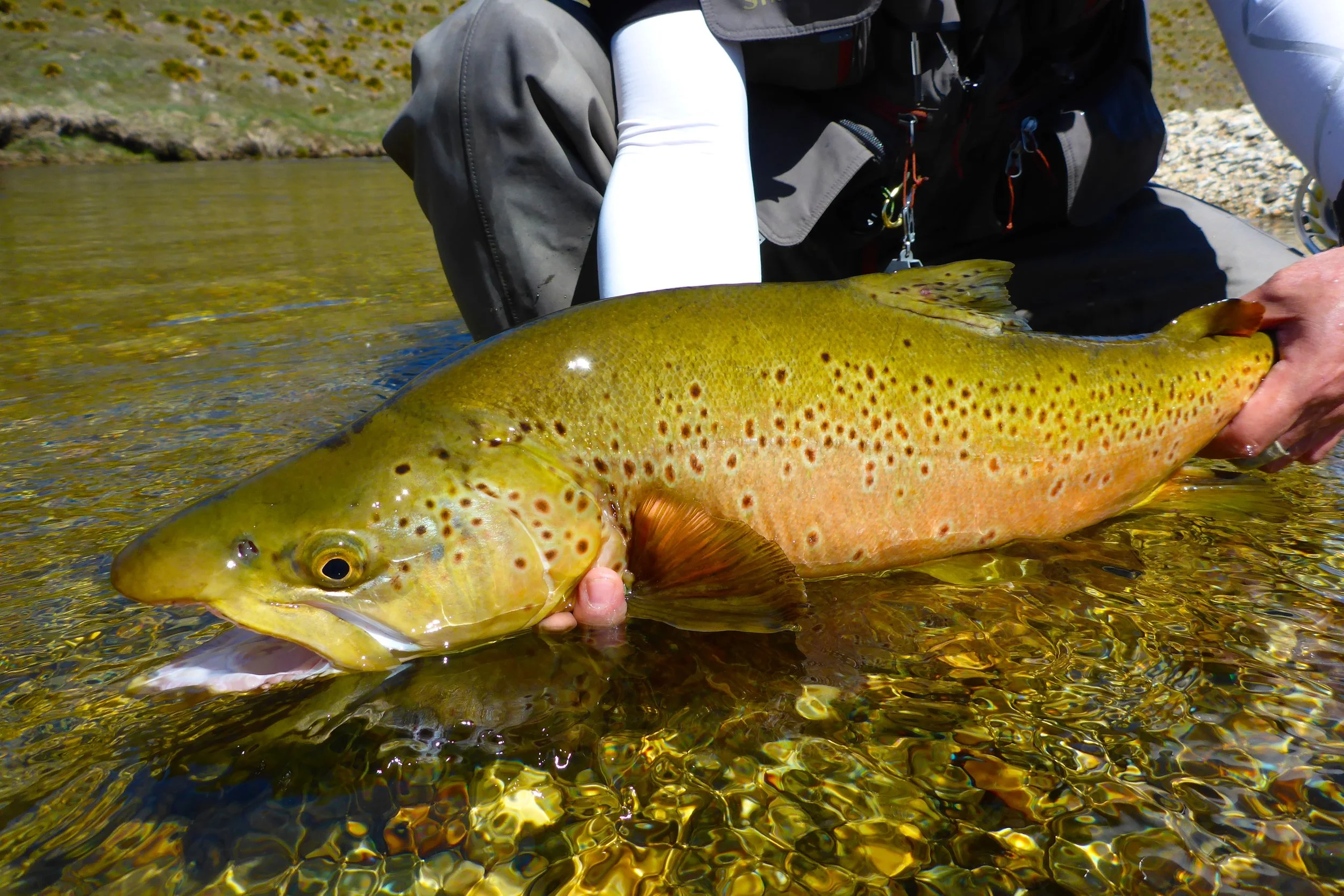 Chuan strikes again!