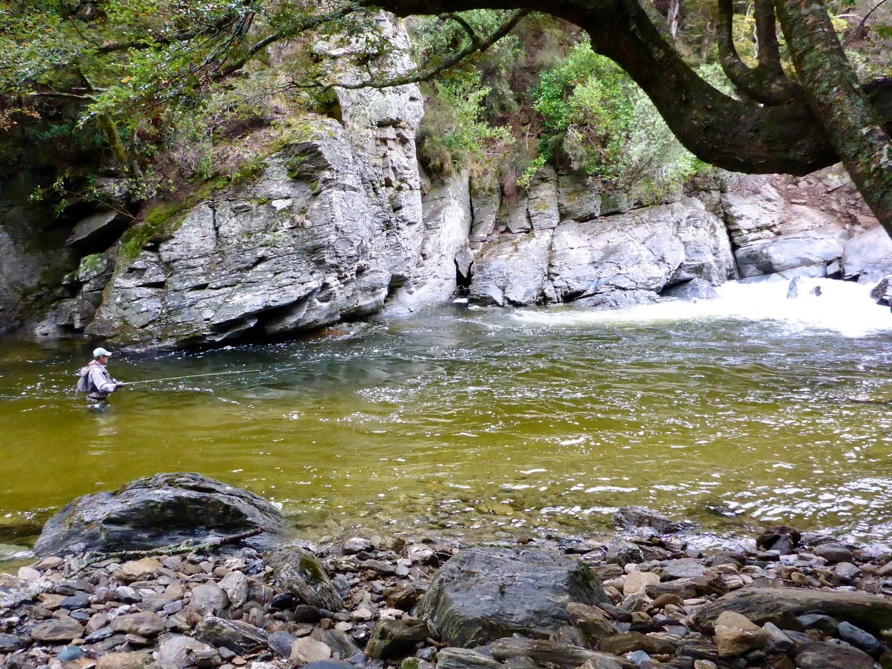 Chasing seatrout..