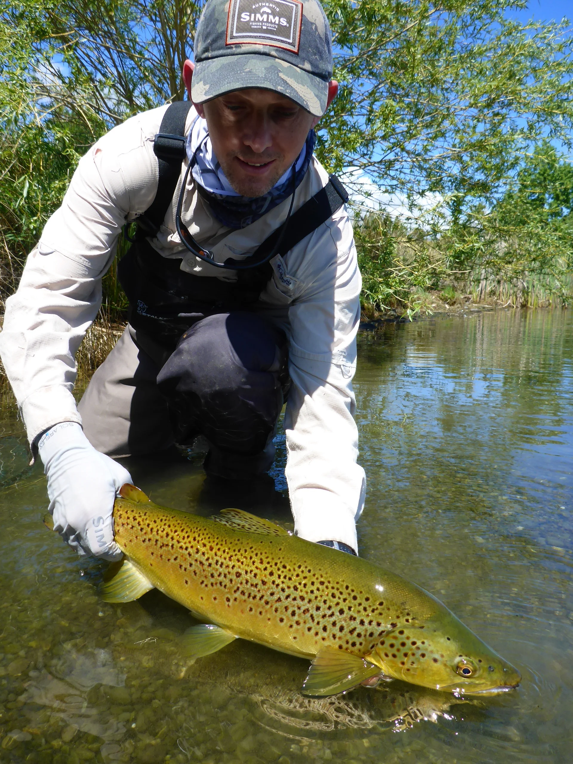 A beautiful trout from a small still water..
