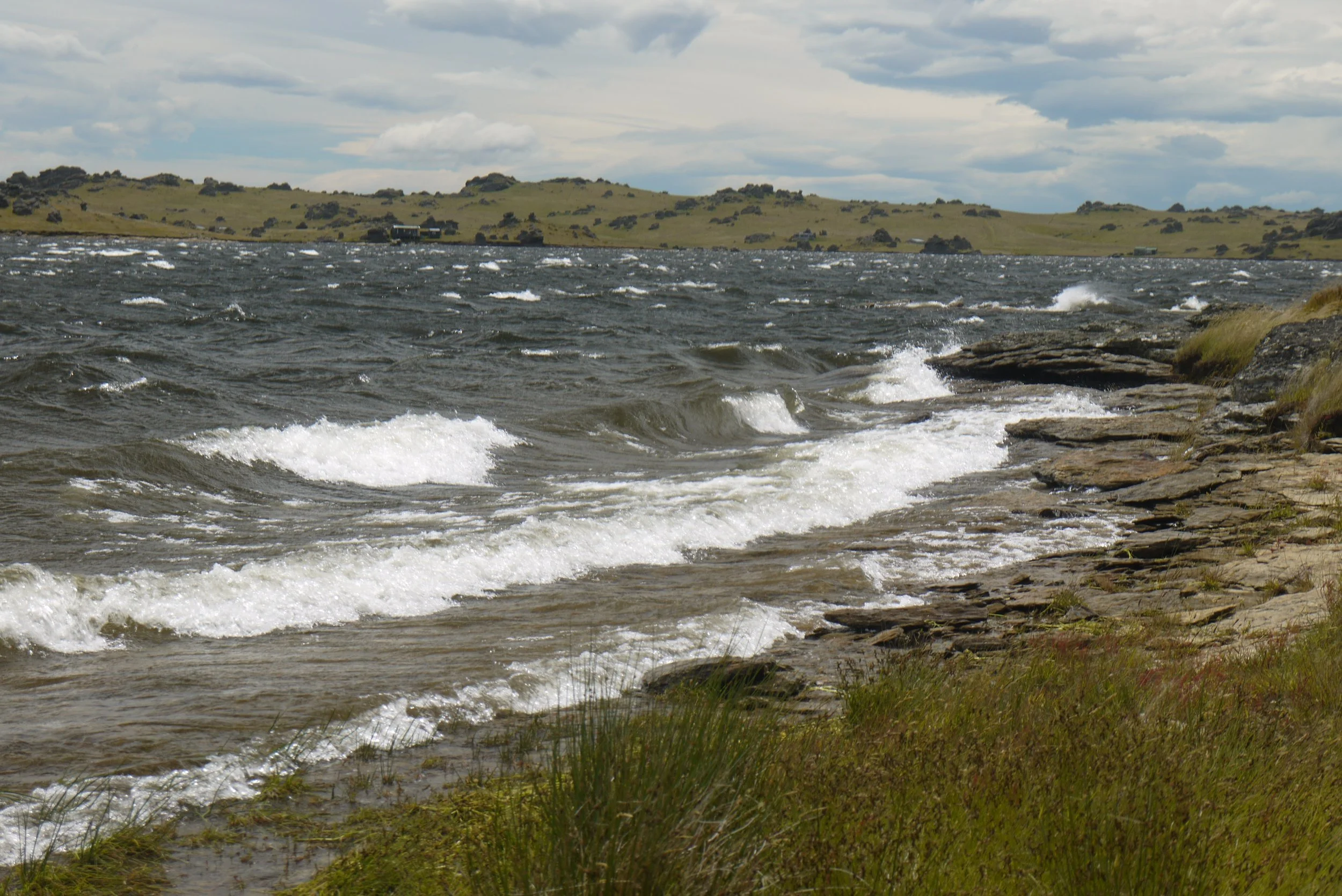 Windy day..