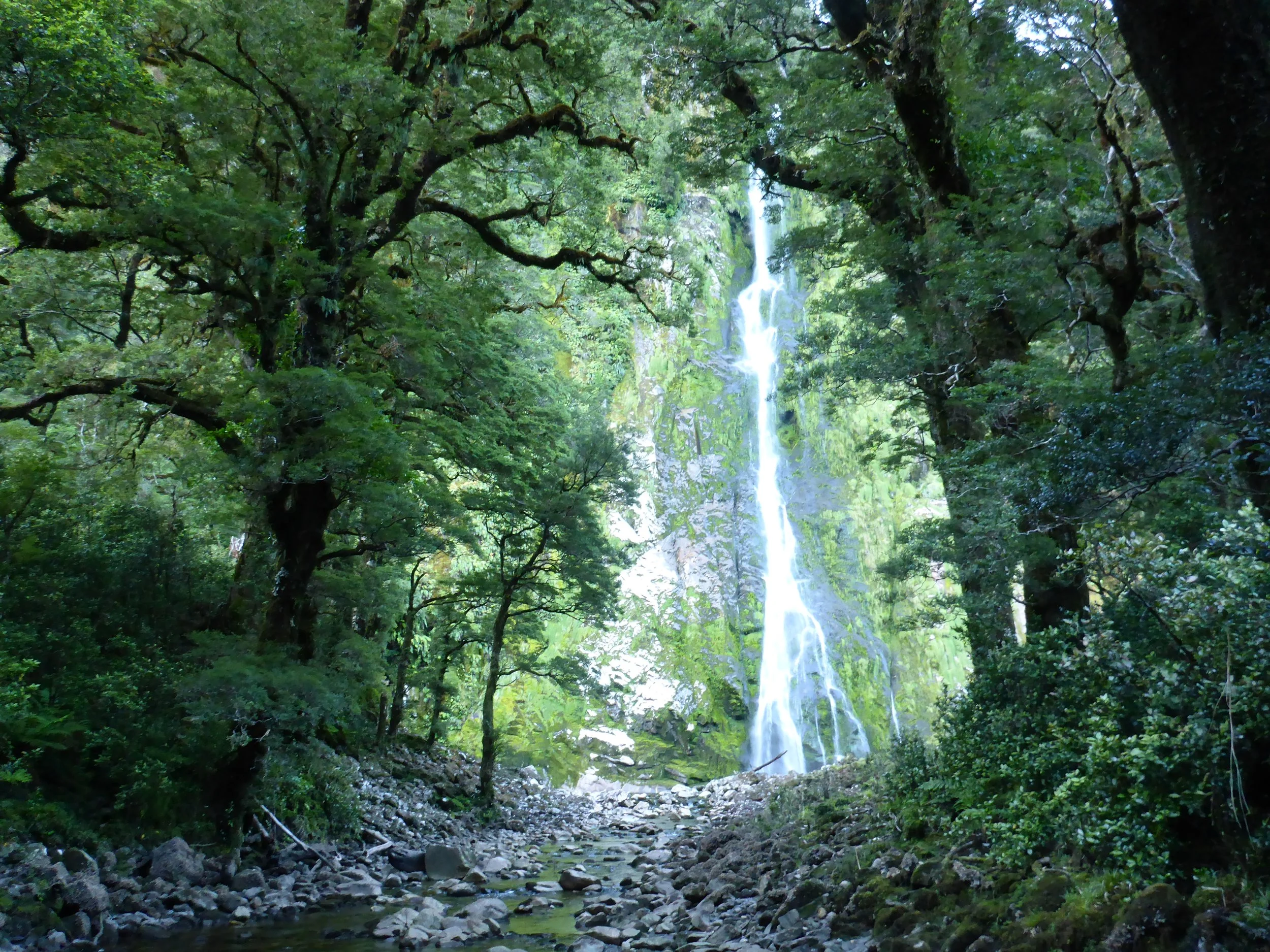 Wilderness waterfall.