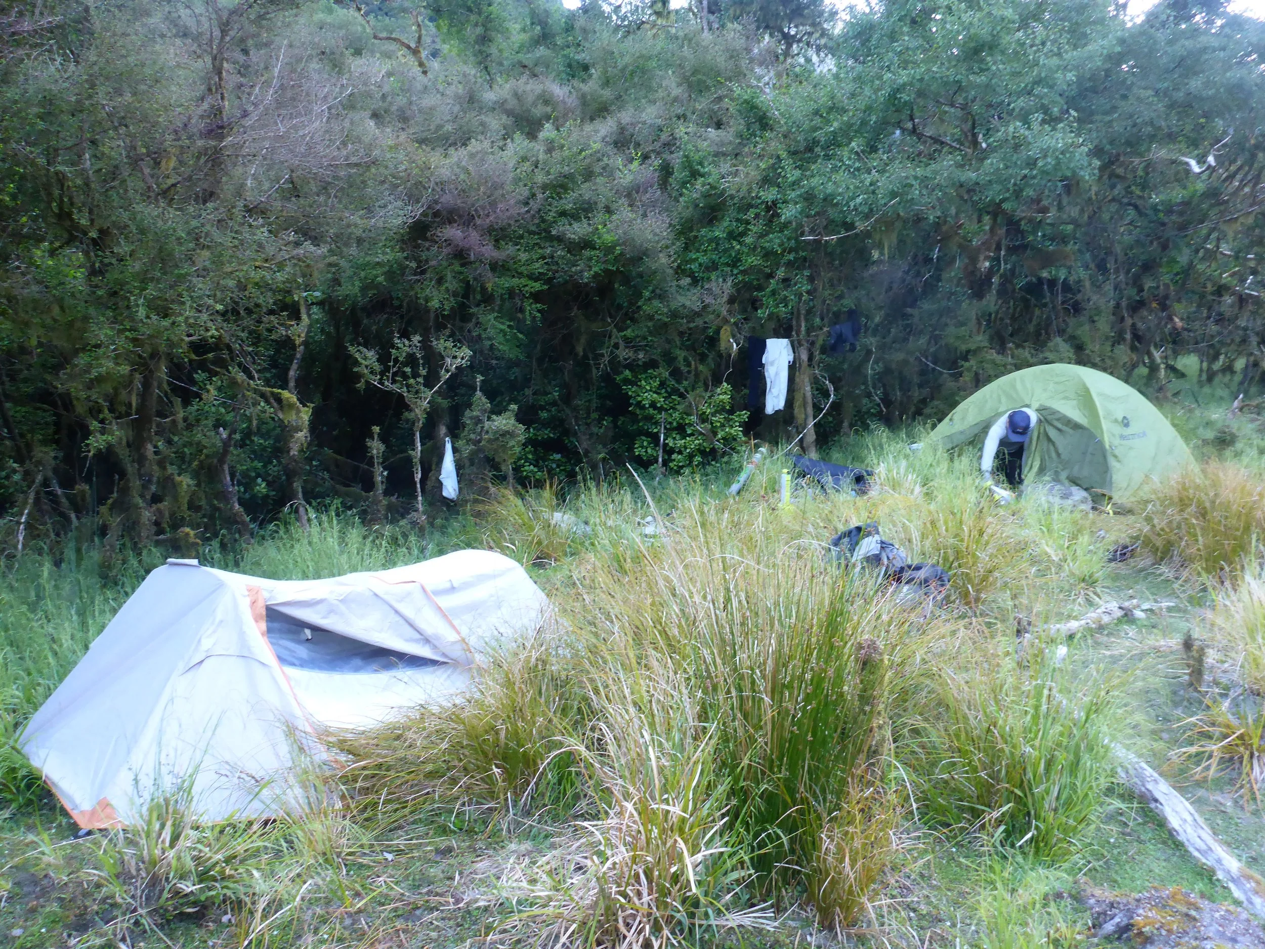 Luxury accommodation!