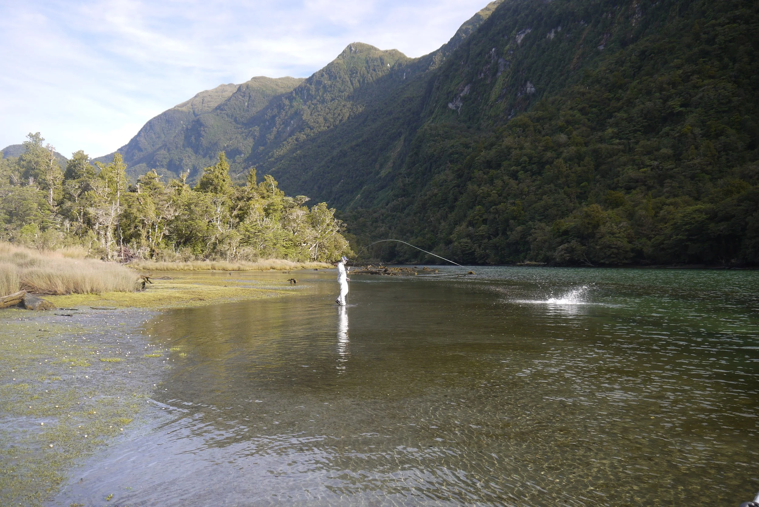 Fjordland river estuary.