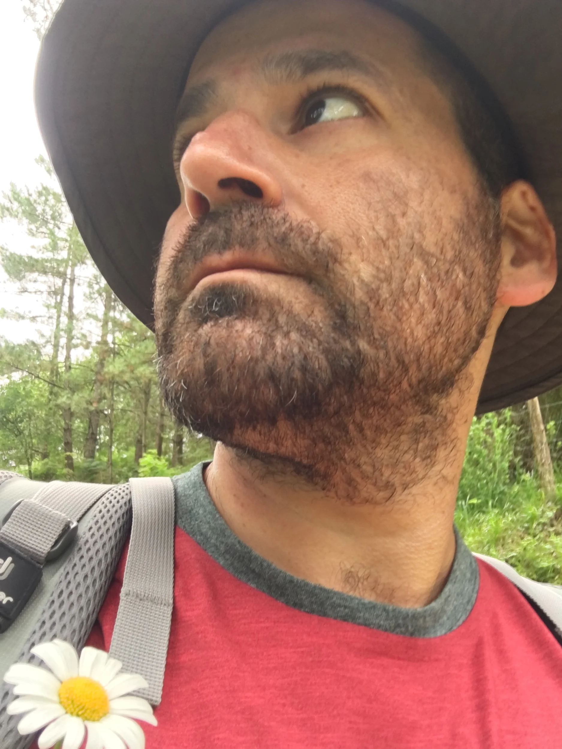 A pilgrim in the woods on the Camino del Norte in the Basque Country in Spain.