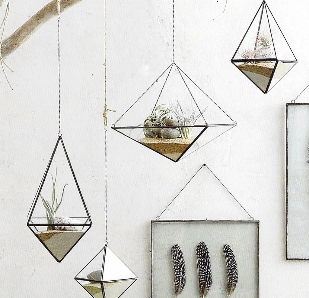 Geo Hanging Terrariums by Roost