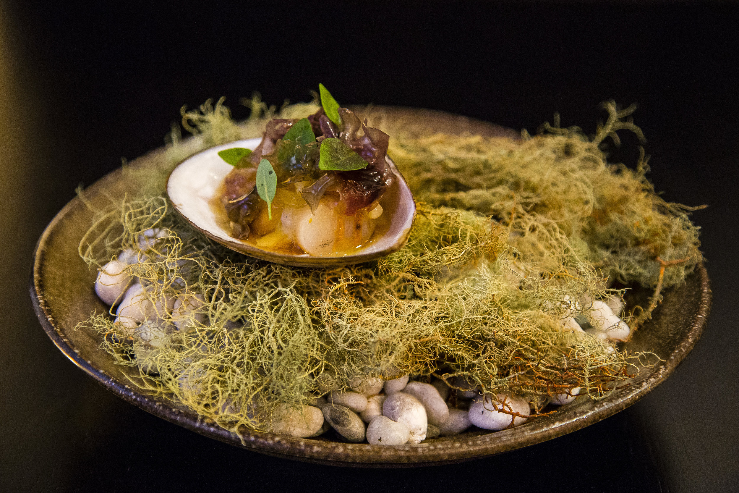 Cloudy Bay Clam, Dashi, Miso, Foraged Seaweed