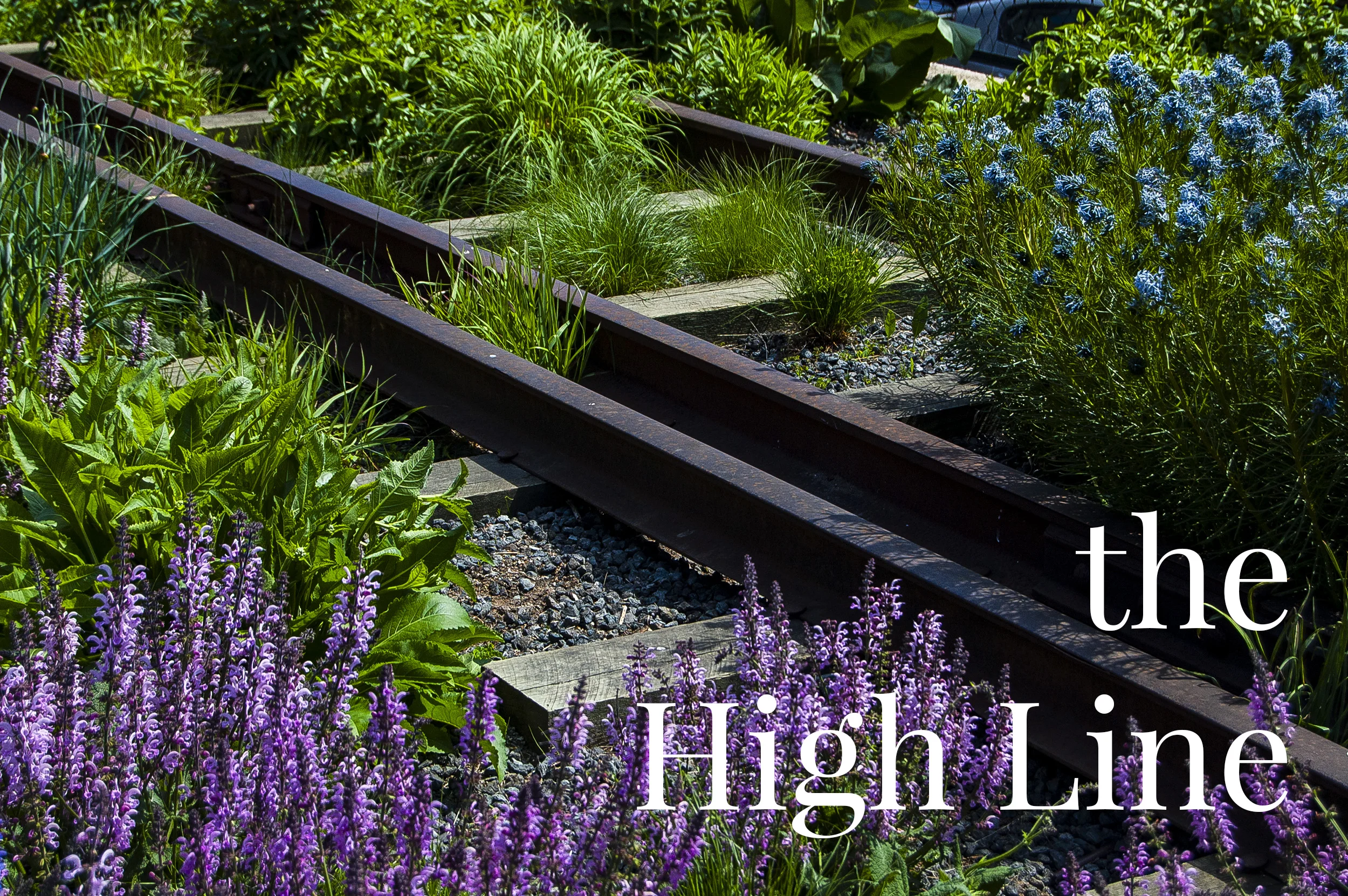 High Line.jpg