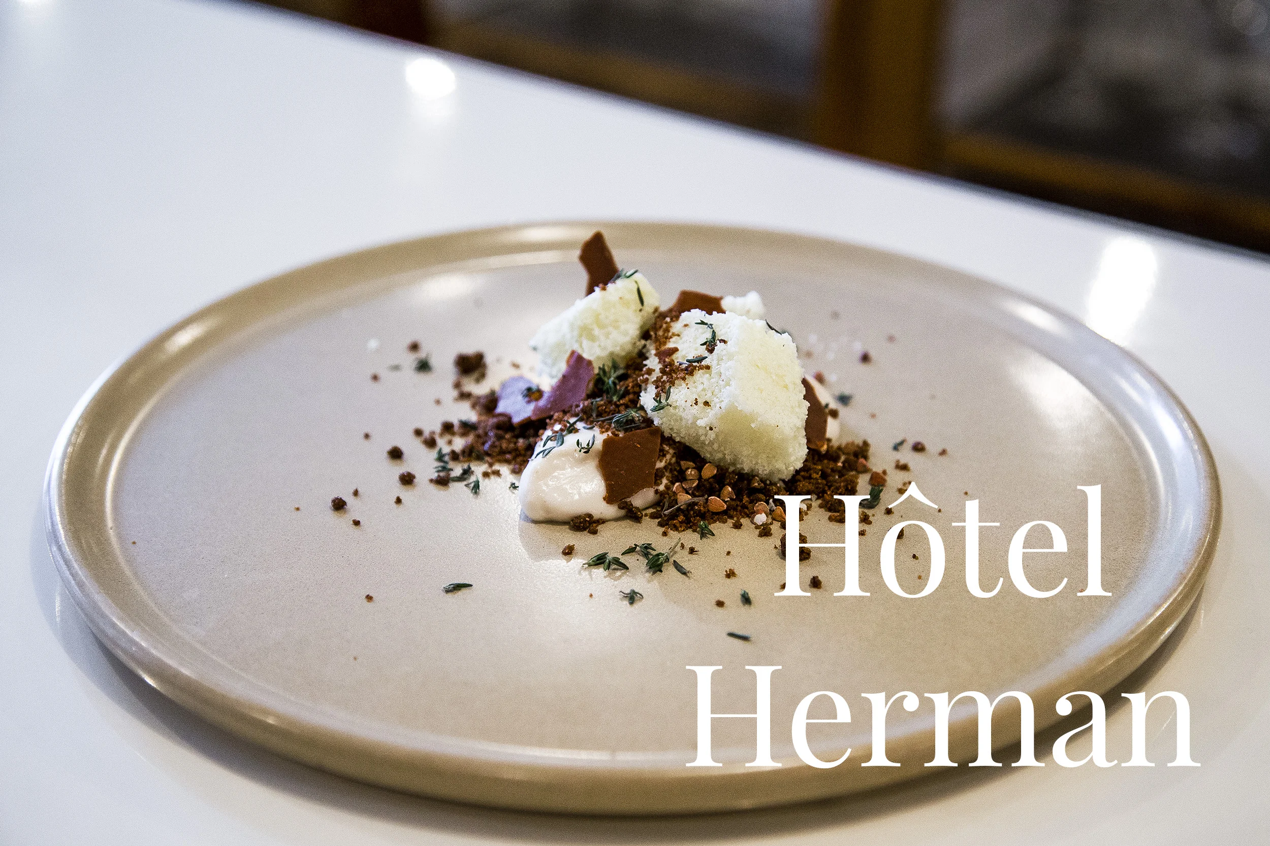 Hotel Herman.jpg