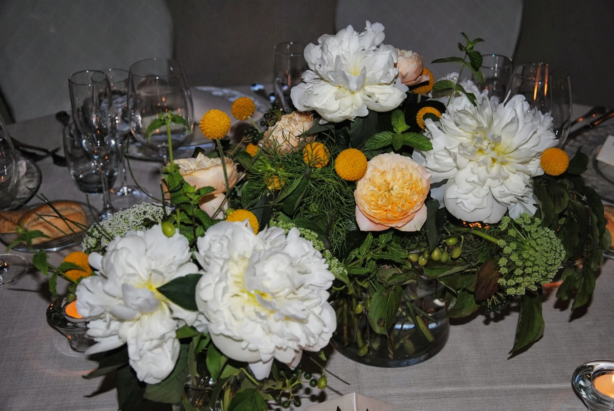 DSC_0043.jpg