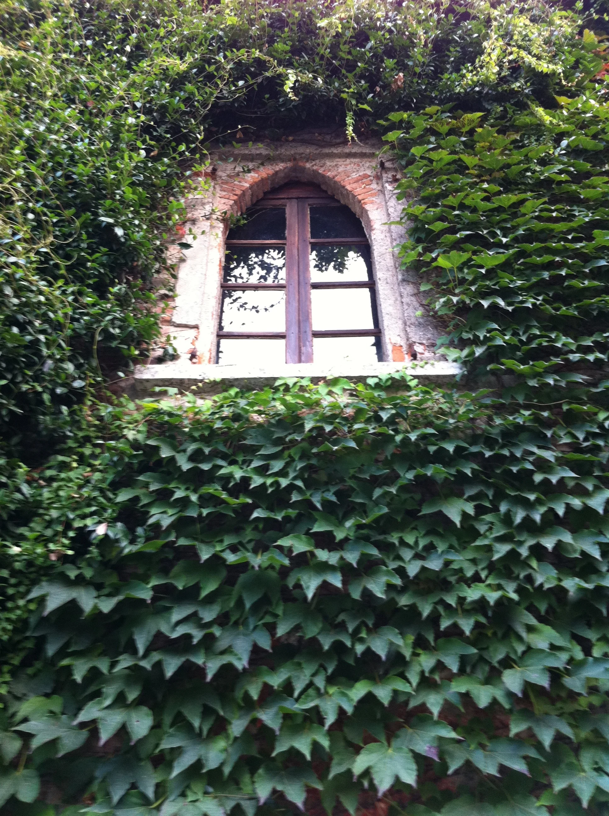 Italia Settembre 2010 296.jpg